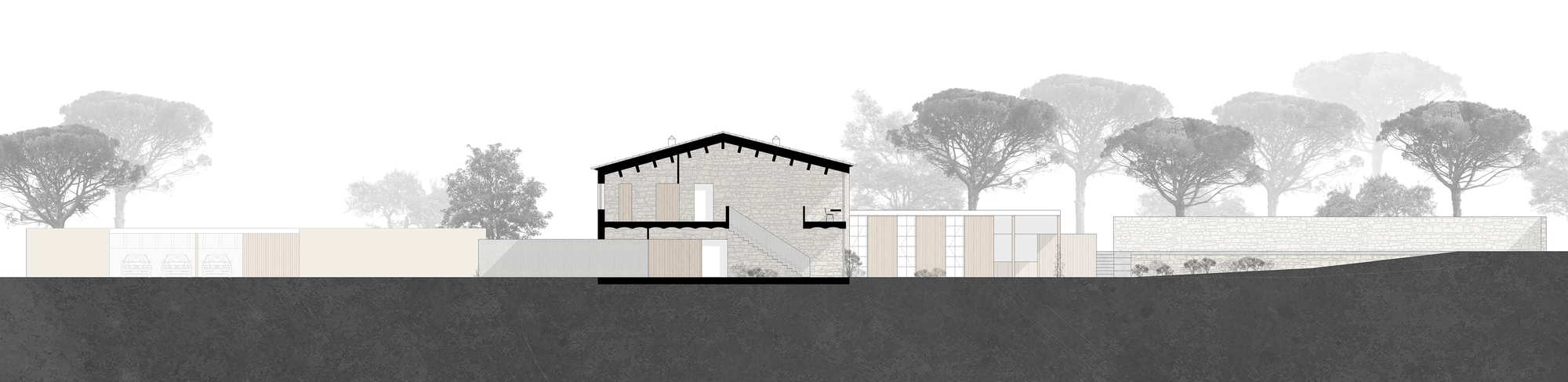 Section drawing showing the pitched roof structure and interior volumes set against a row of pine trees