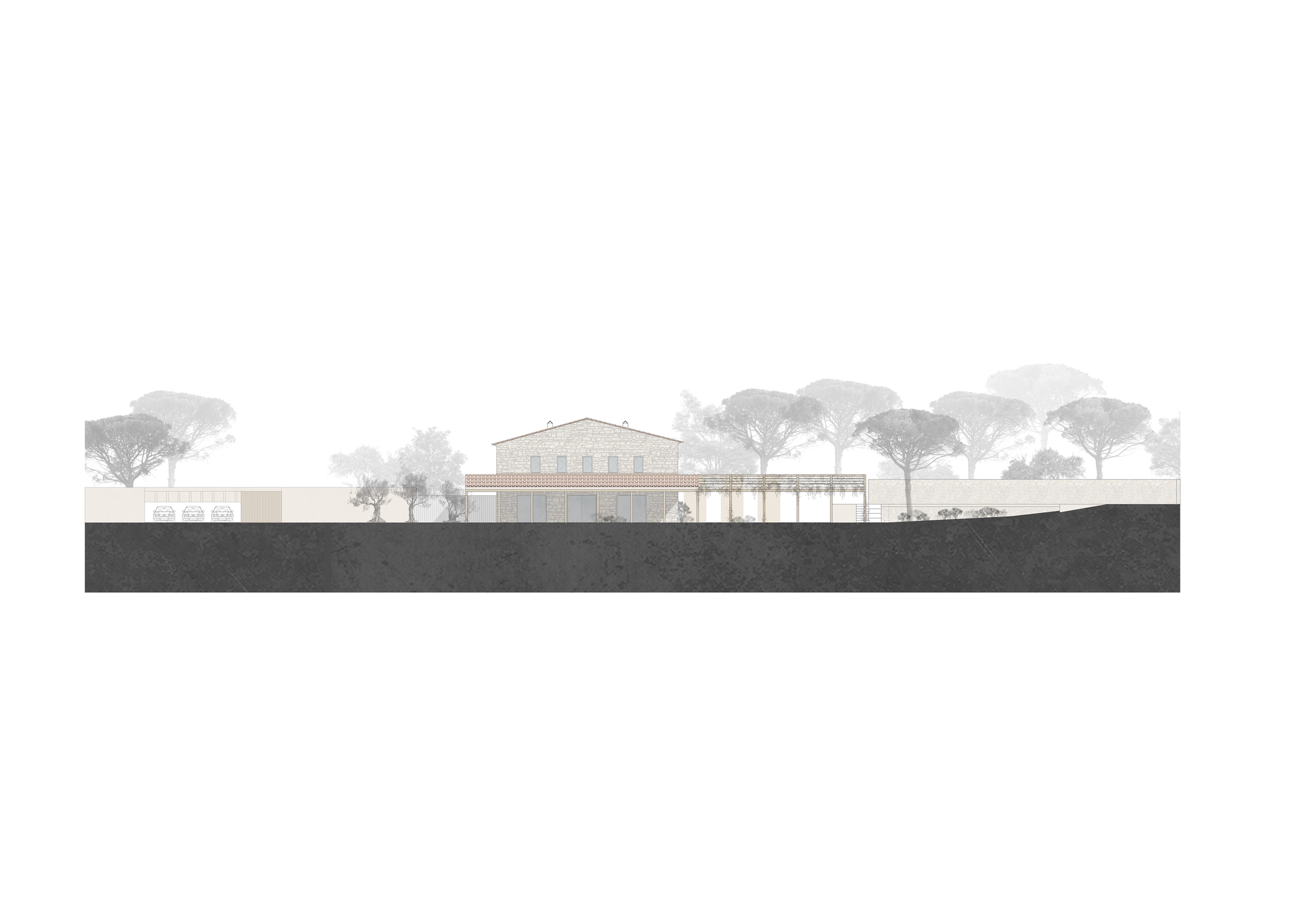 Long elevation drawing of a villa with hipped roof set among a grove of umbrella pines