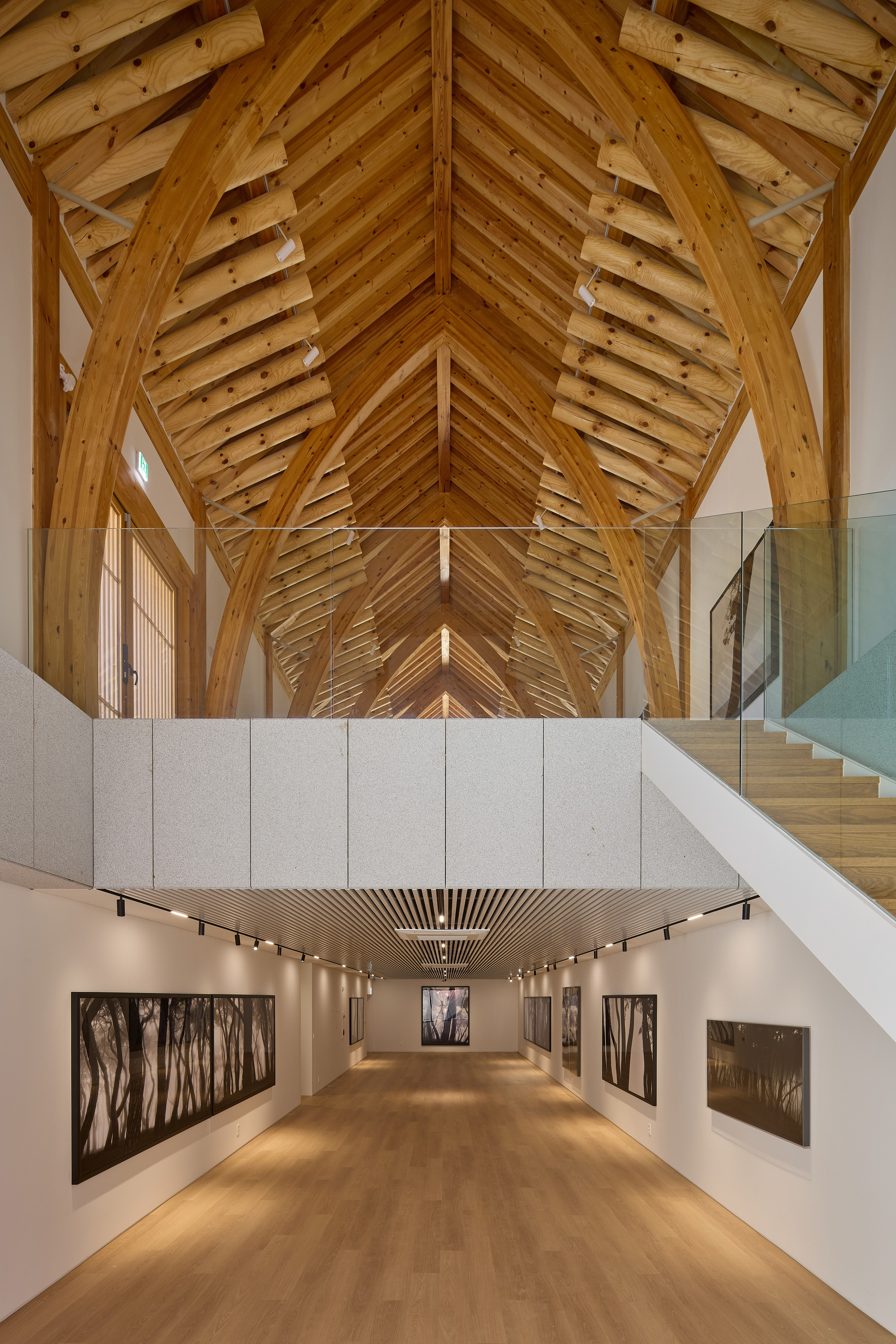 Gallery space below a vaulted timber ceiling with concrete walls and framed photographs under track lighting