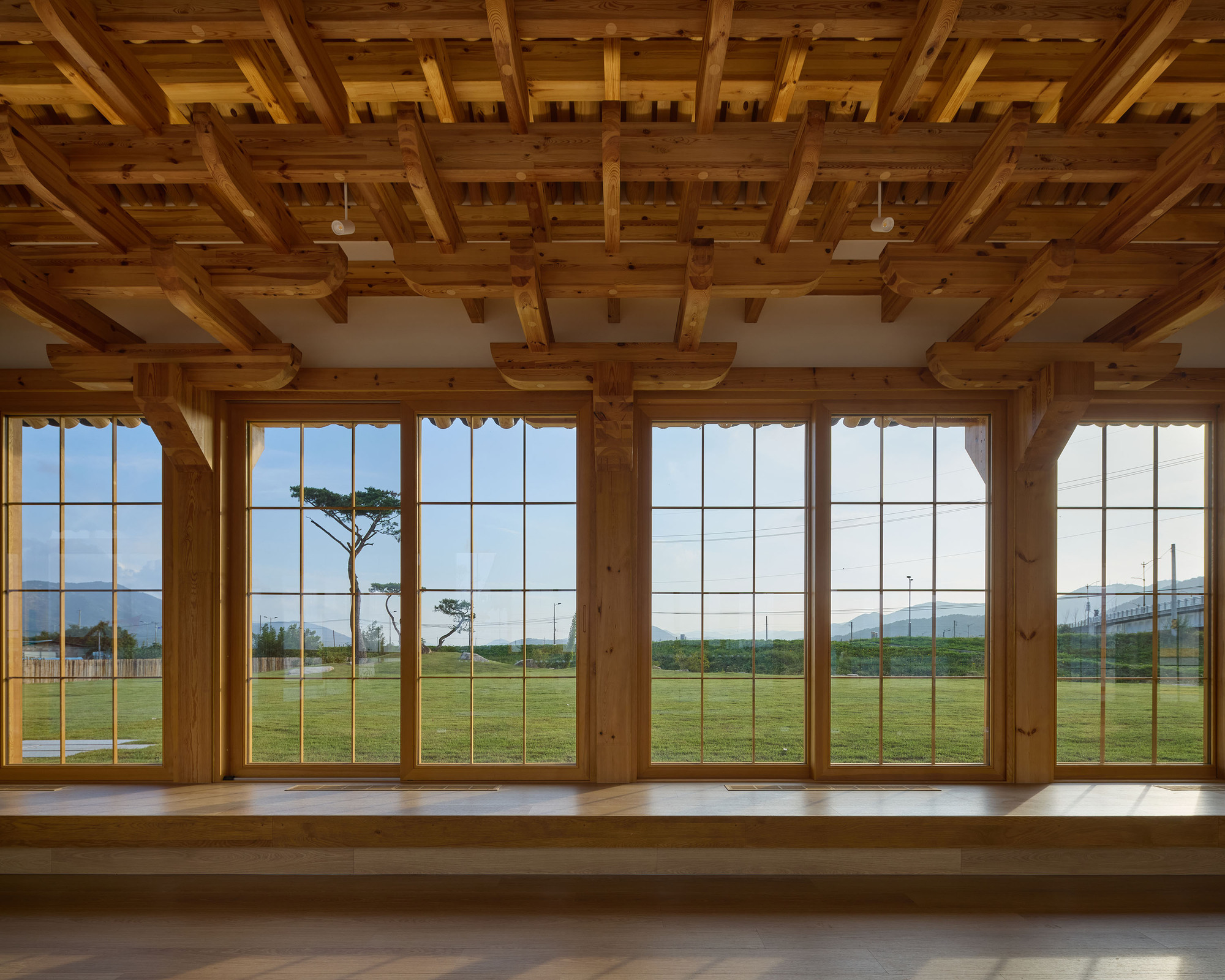 Timber gridded ceiling above tall windows overlooking a grass field with a solitary tree