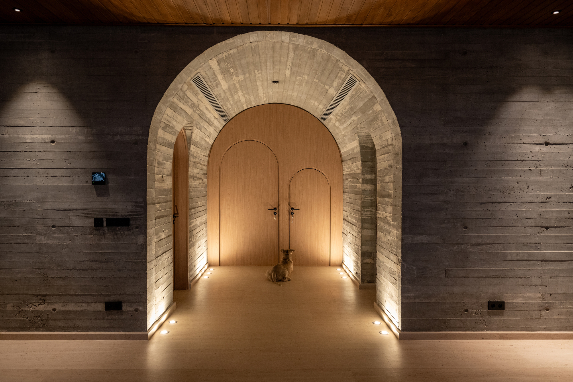 Illuminated arched corridor with timber-lined walls and a dog sitting before double doors