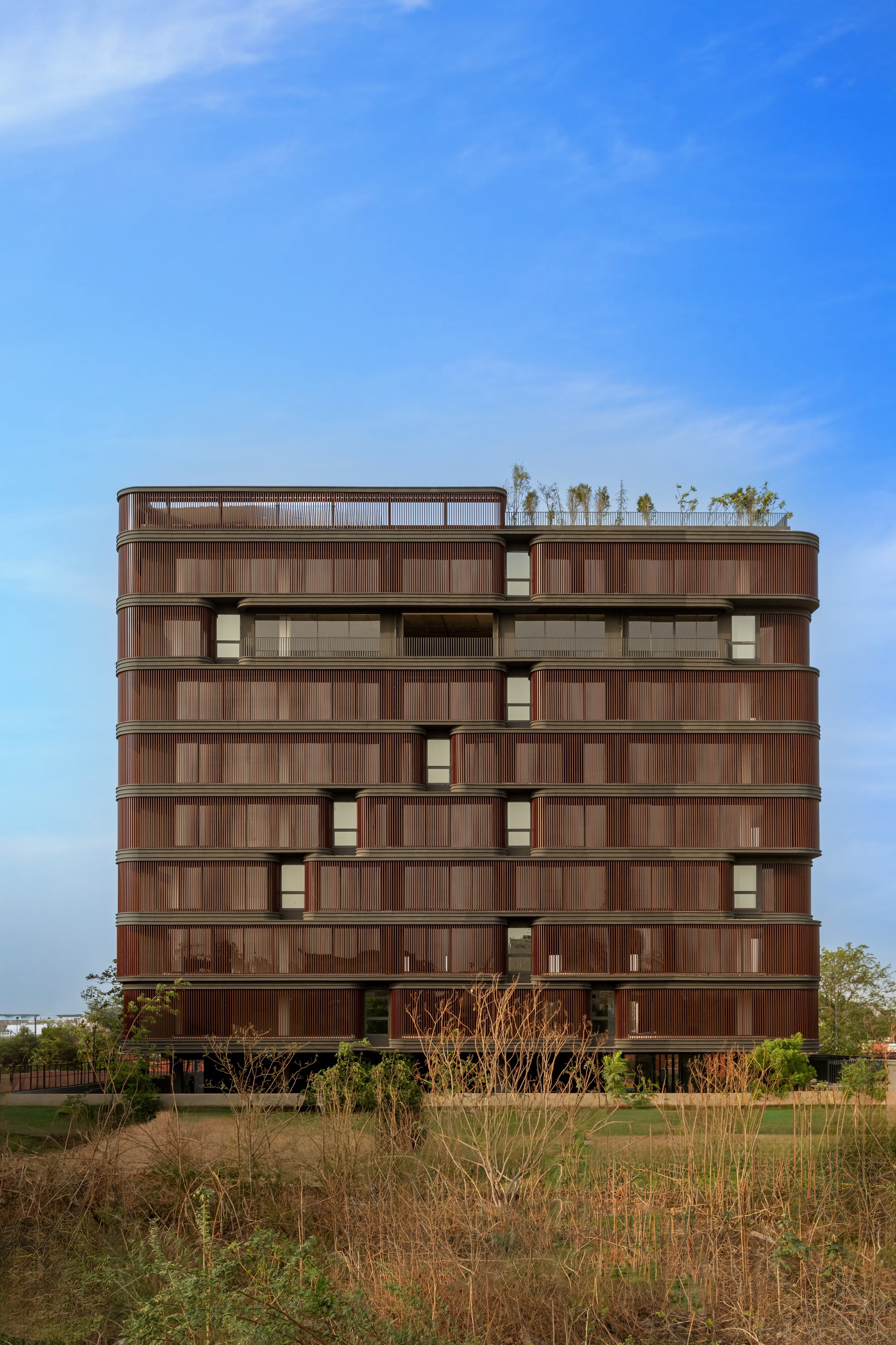 Rear elevation showing layered timber screens and rooftop plantings against dry grasses in foreground