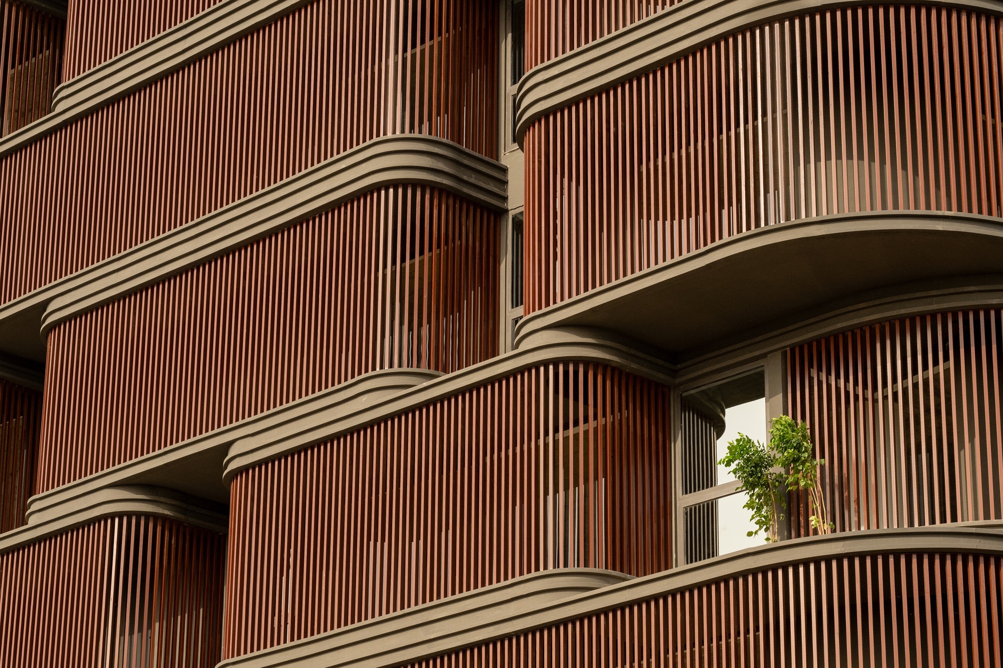 Close-up of the vertical timber slat screens wrapping the rounded balcony edges with potted plants