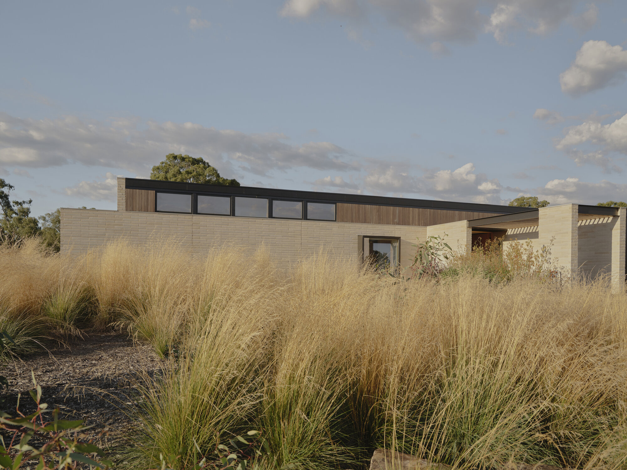 Horizontal timber and masonry facade with clerestory windows set within dry golden grassland