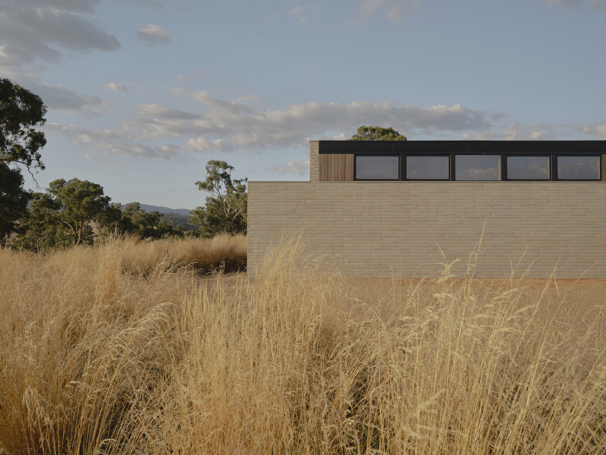 Masonry wall volume with timber clerestory rising above native grasses in late afternoon light