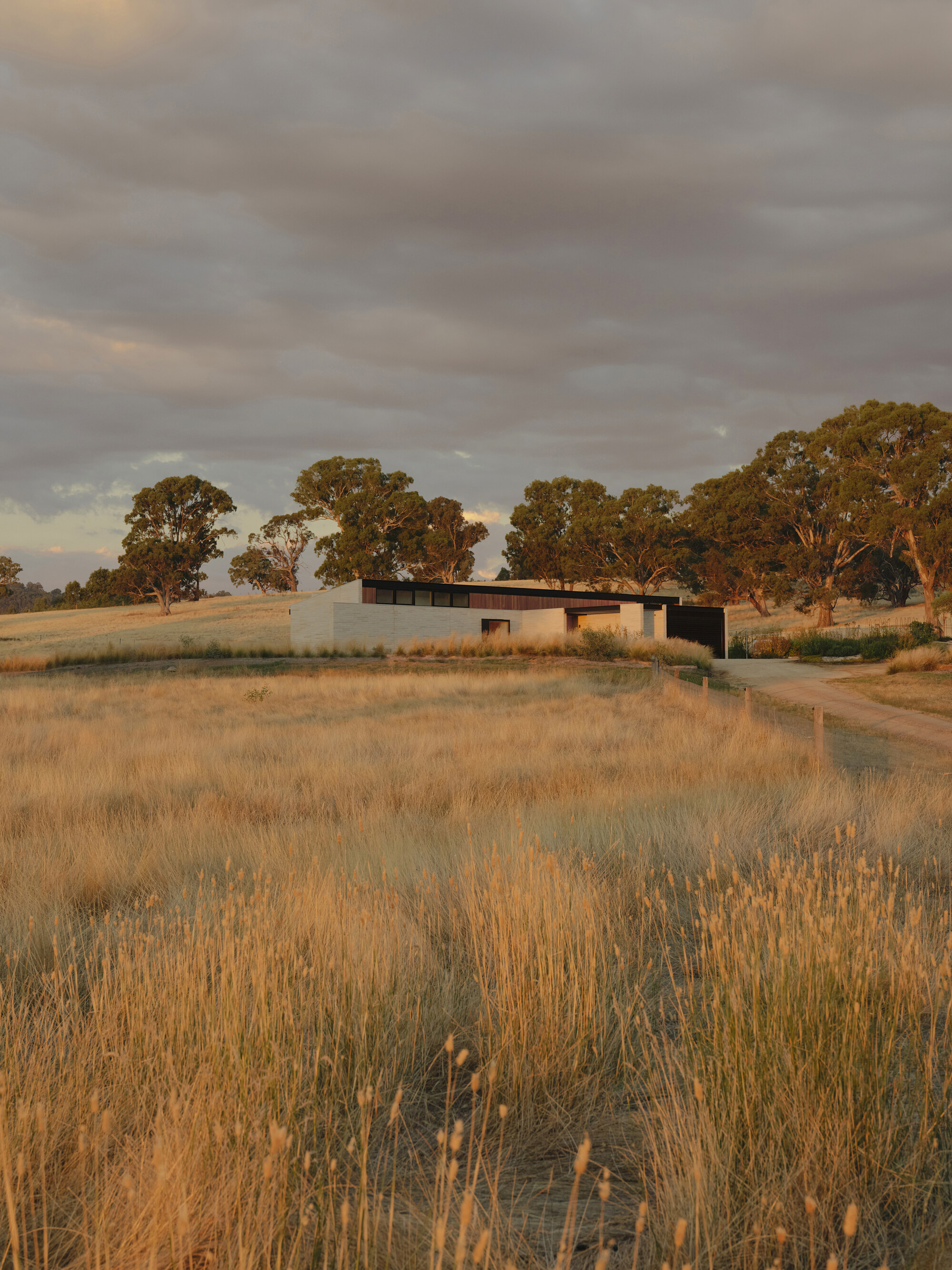 Linear pavilion nestled in dry grassland with eucalyptus trees in warm late afternoon light