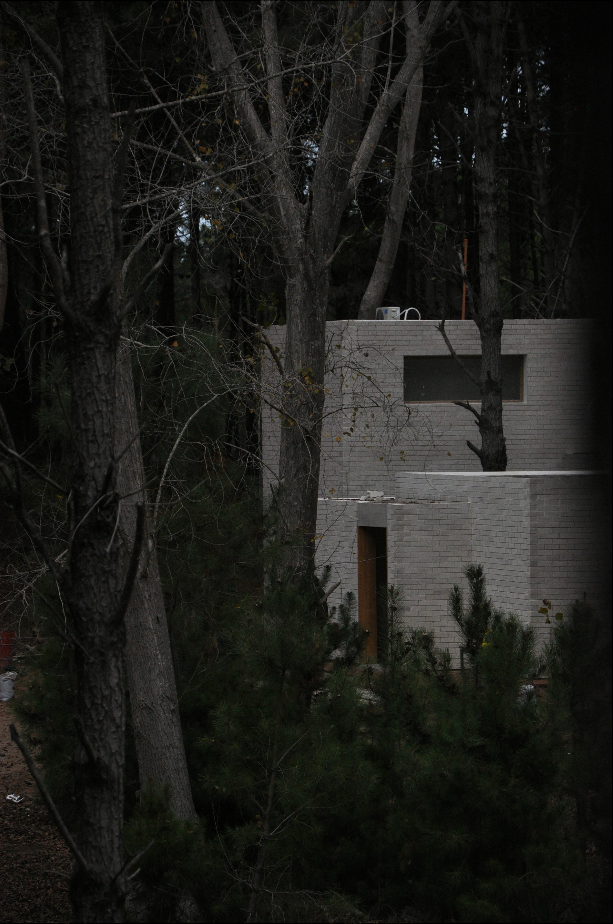Pale brick volume with stacked openings nestled among dark tree trunks in a dense forest