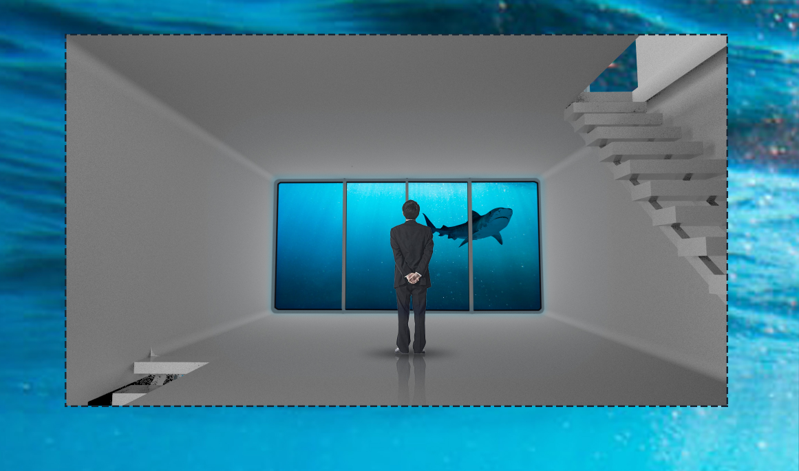 Interior view of a visitor standing before a large aquarium window with a shark swimming past