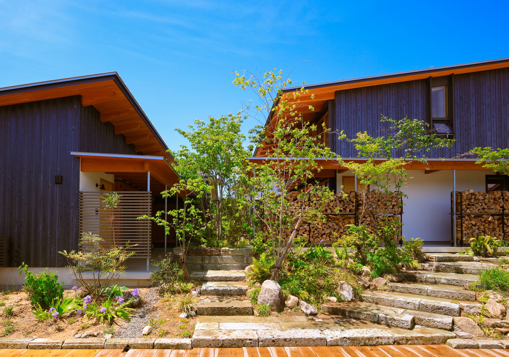 Terraced stone steps ascending through a planted garden to a two-volume residence with dark timber cladding