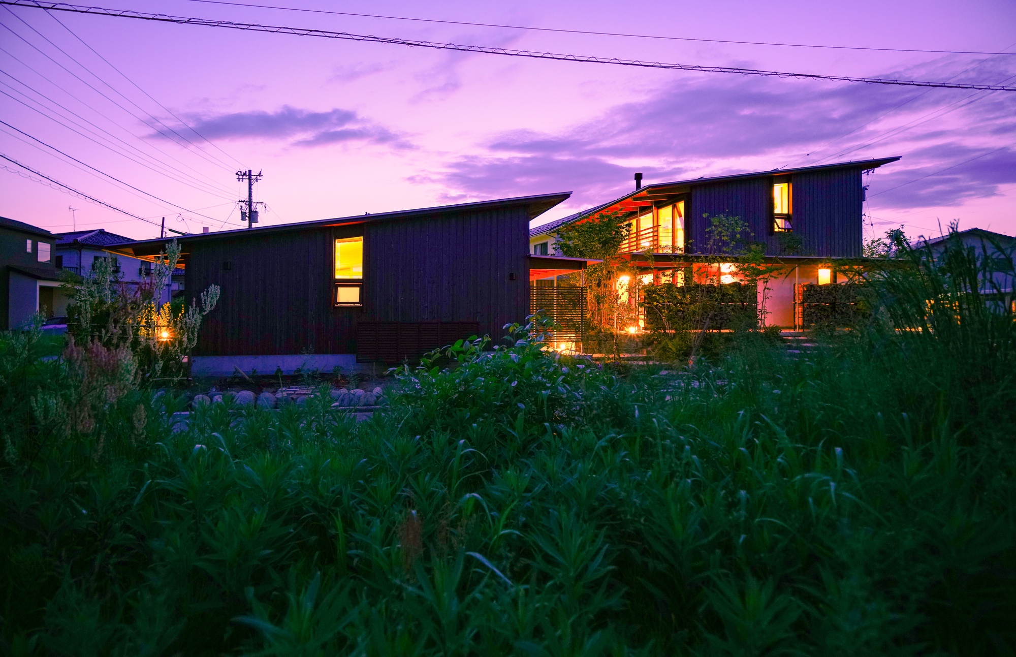 Dark timber-clad residence with illuminated windows viewed across a field of tall grasses at twilight