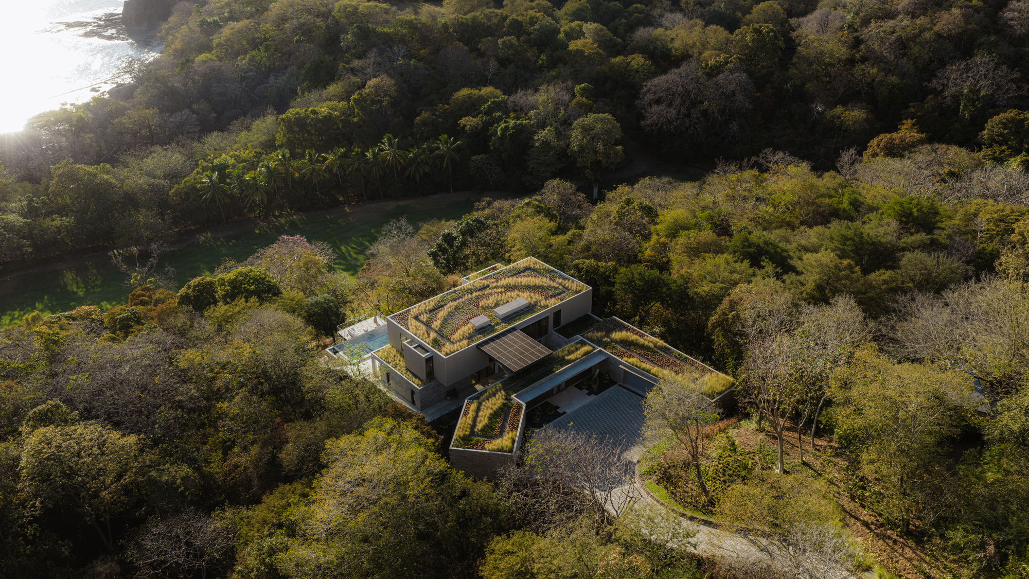 Aerial view of the green roofs and terraces nestled into the forested hillside above the ocean