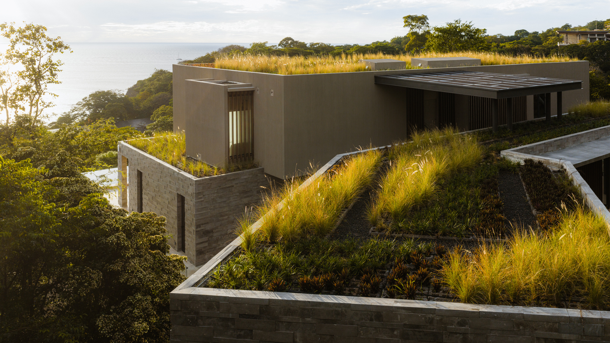 Planted roof terraces with native grasses and dark metal volumes in afternoon light