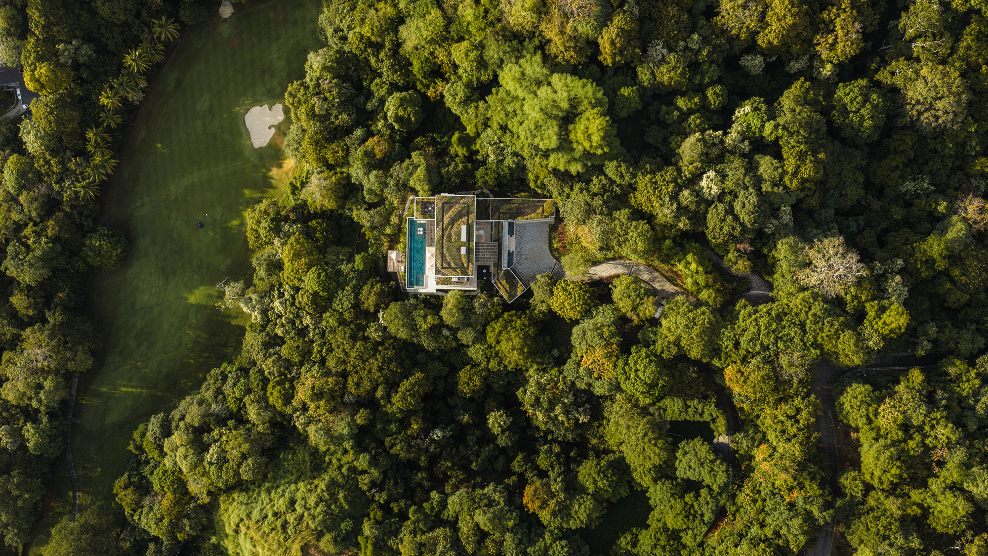 Aerial view of the residence with pool and flat roof nestled in dense forest canopy