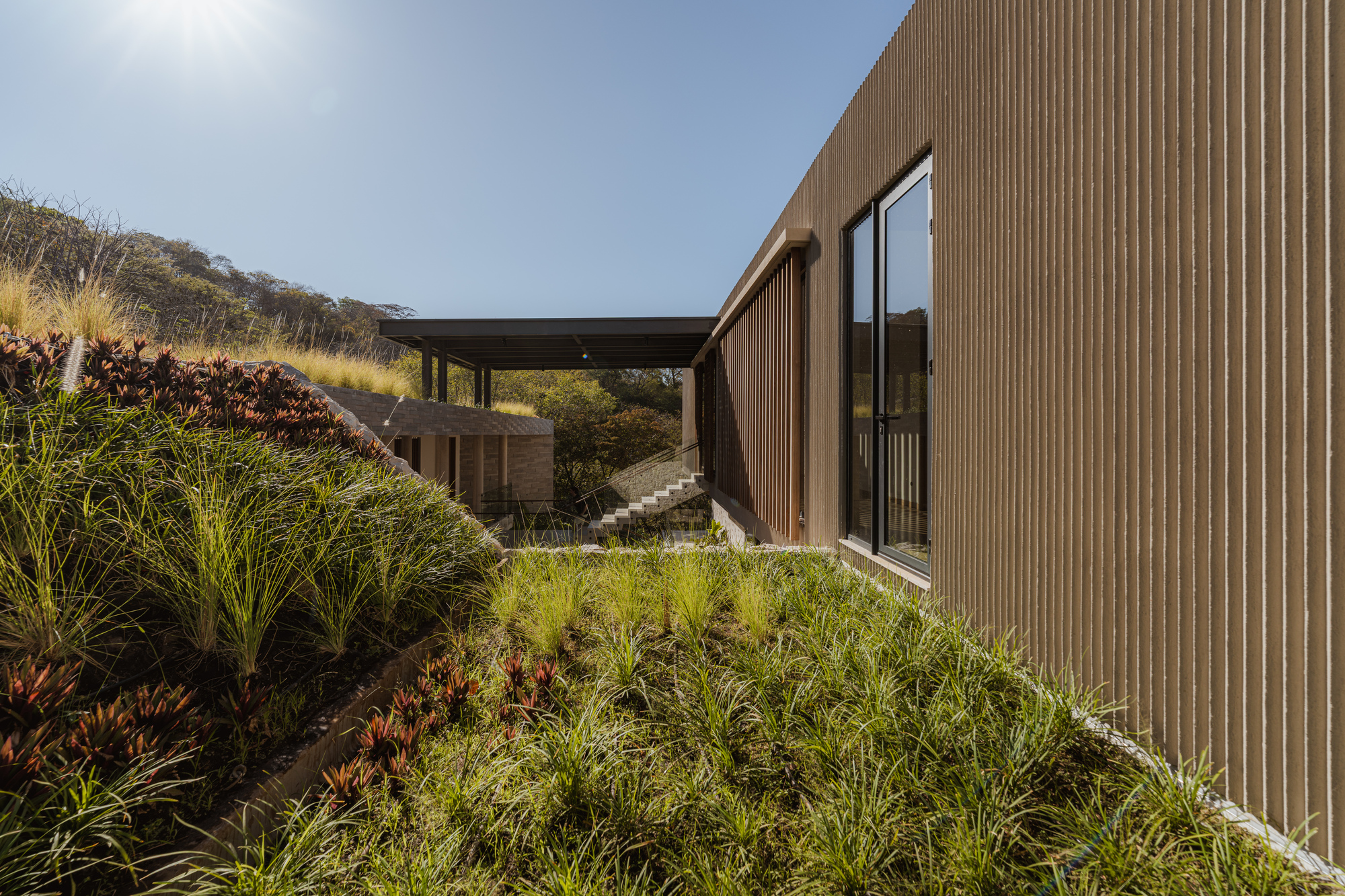 Vertical timber cladding and glazed opening overlooking planted slope with native grasses and shrubs