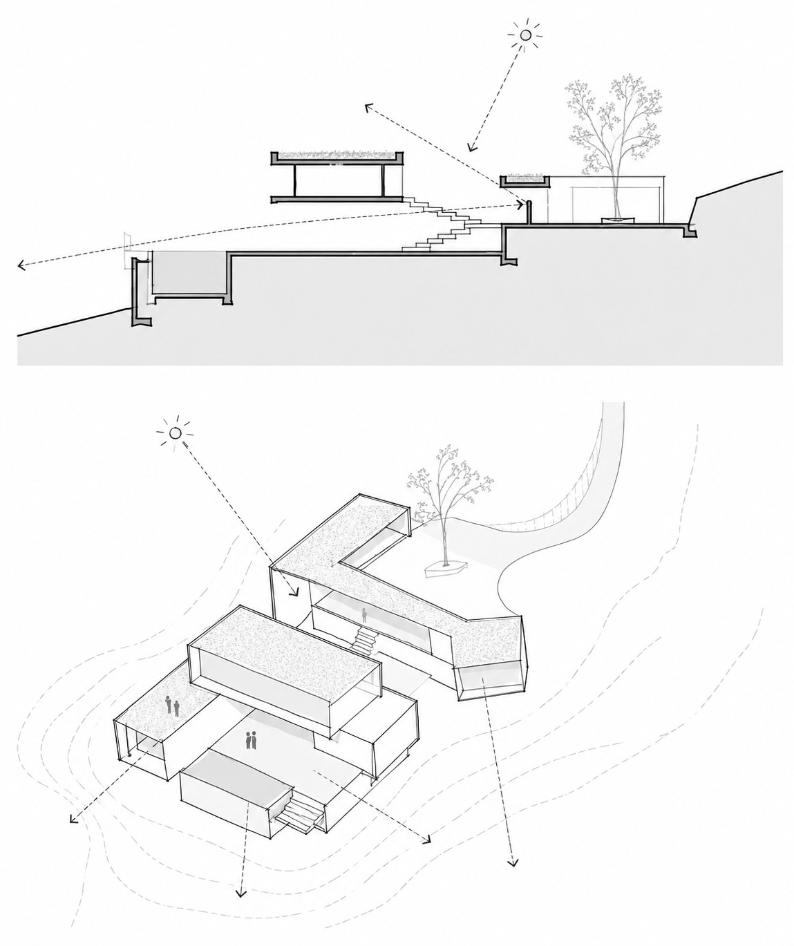 Section and axonometric drawings illustrating terraced volumes stepping down a sloped site with sun diagrams