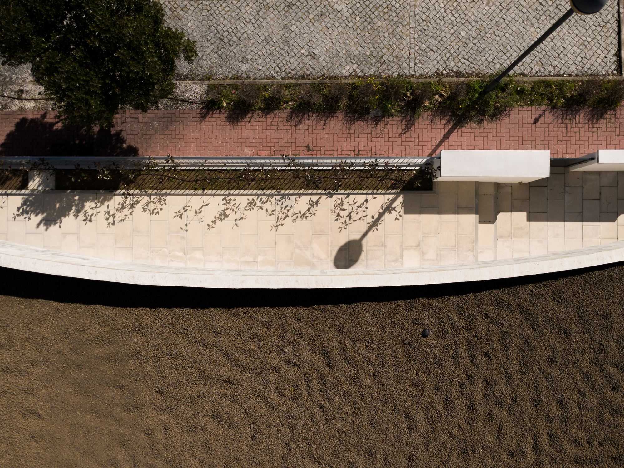 Aerial view of the curved pool edge with vine-covered brick wall and tiled paving casting morning shadows