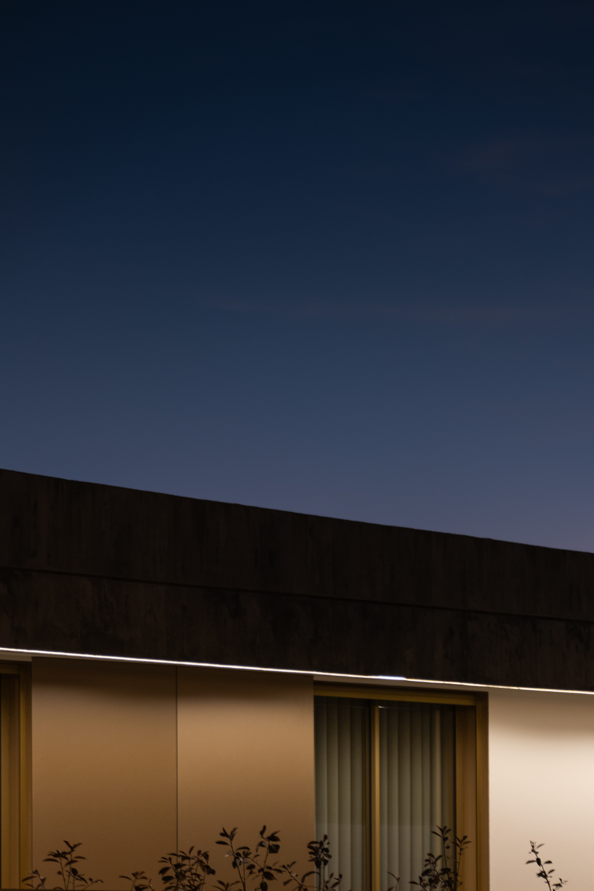 Horizontal band of light defining the recessed soffit above bronze panels and bamboo at twilight