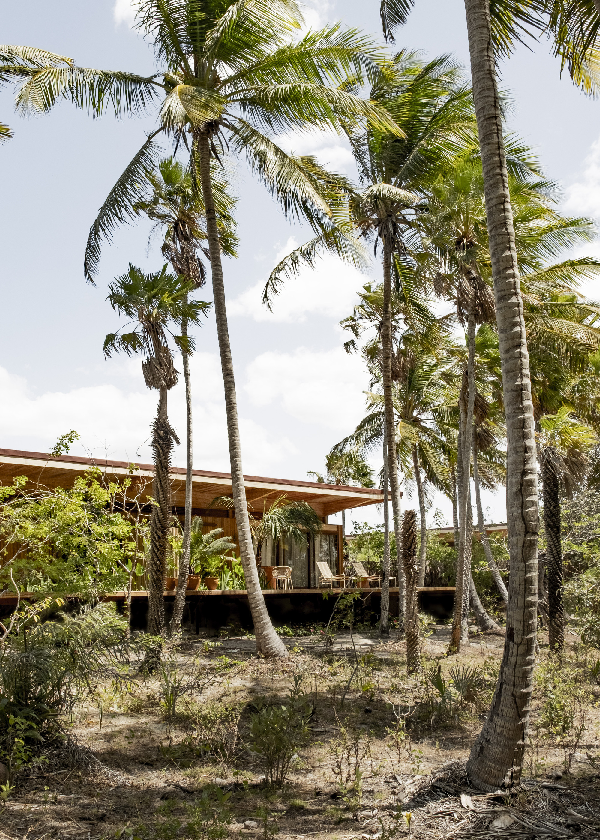 Low-profile wooden structure on stilts framed by coconut palms and smaller trees in sandy soil
