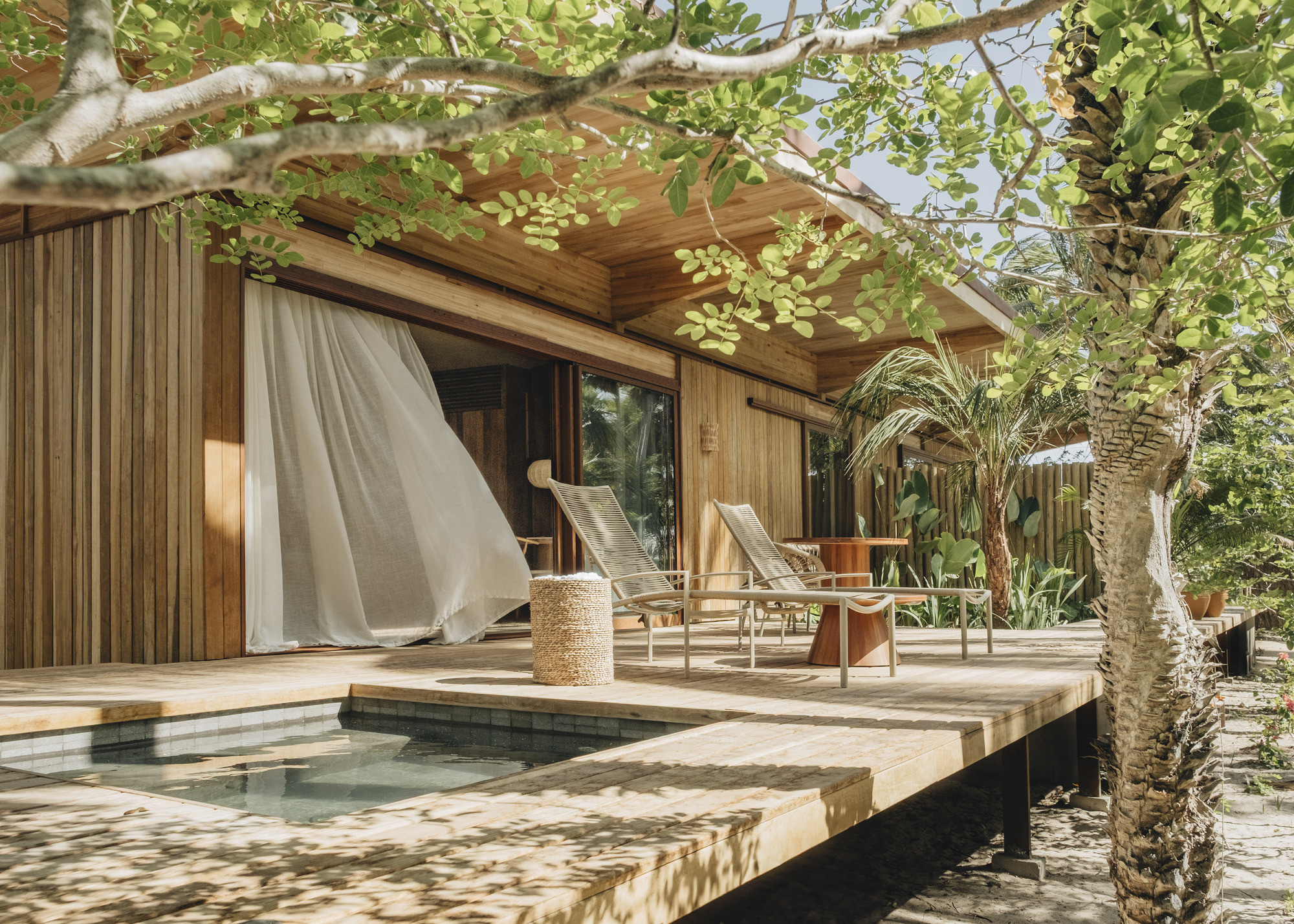 Timber deck terrace with plunge pool adjacent to glass doors and overhanging tree branches casting dappled shade