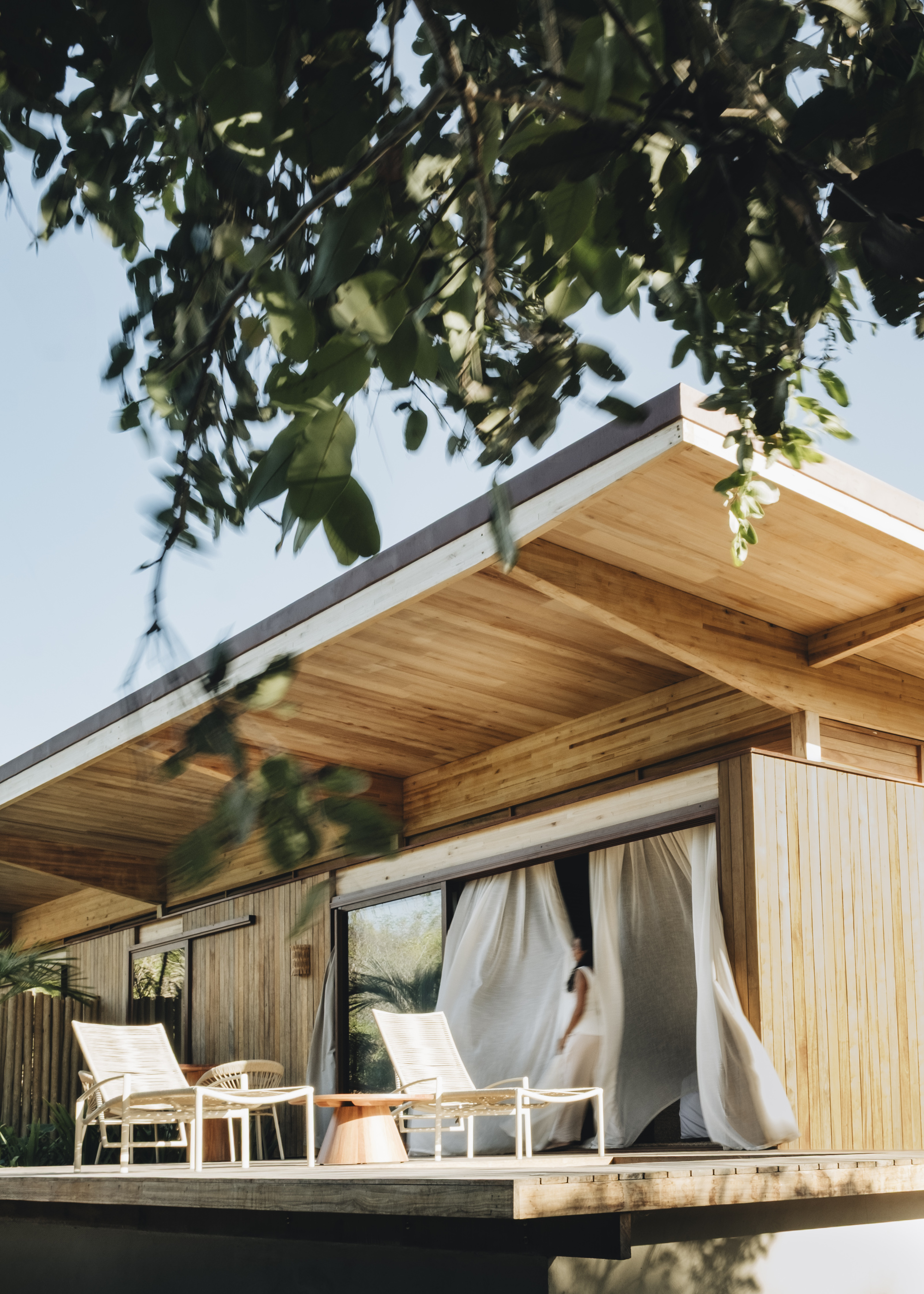 Elevated timber pavilion with exposed rafter eaves and curtain-draped openings seen through overhanging branches