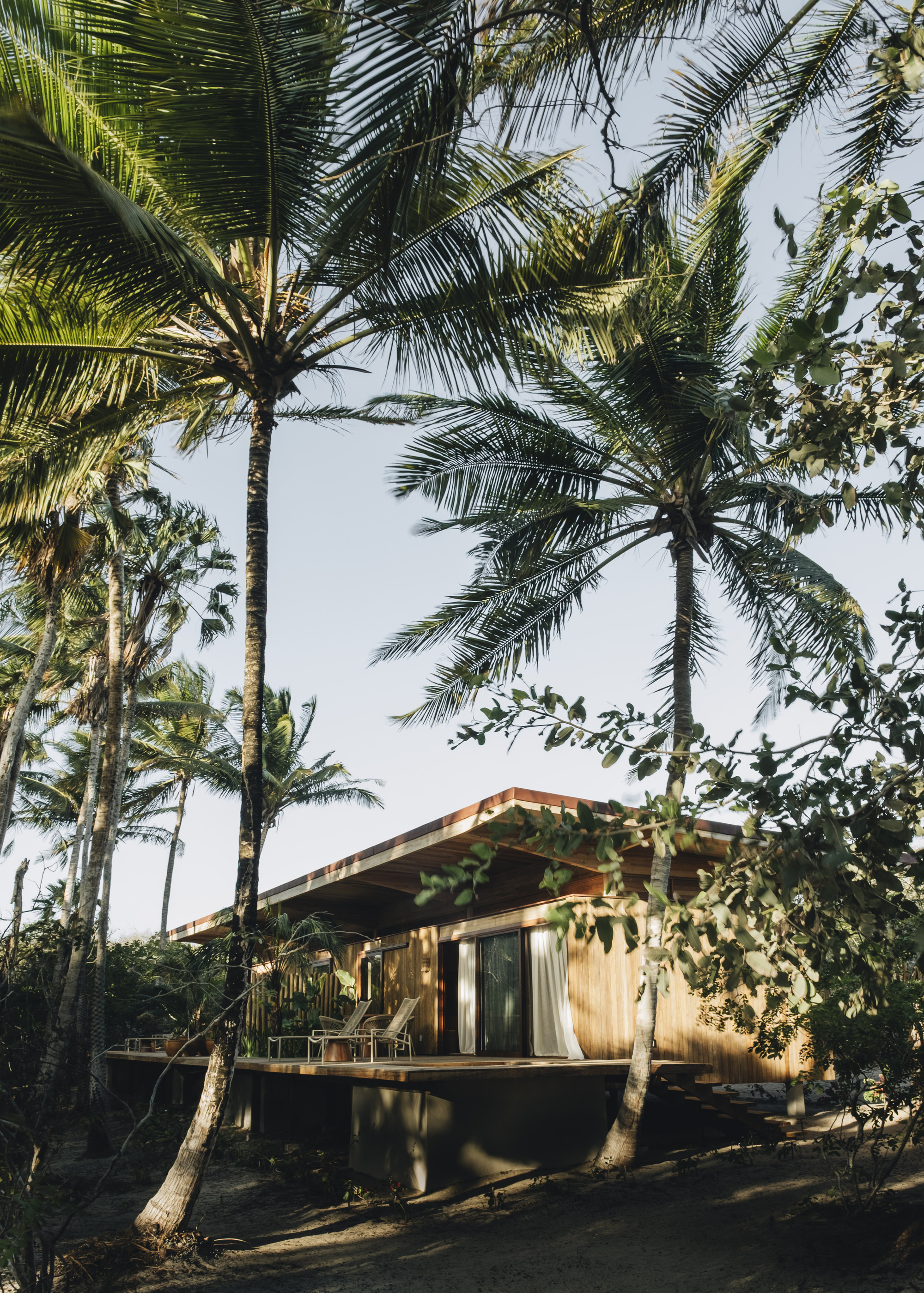 Timber pavilion with pitched roof and raised deck nestled among coconut palms at dusk