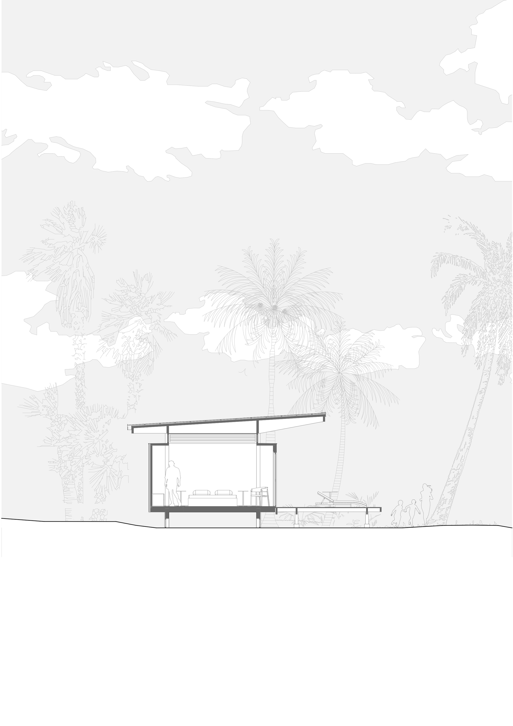 Section drawing revealing a single-level structure with sloped roof among palm trees and vegetation