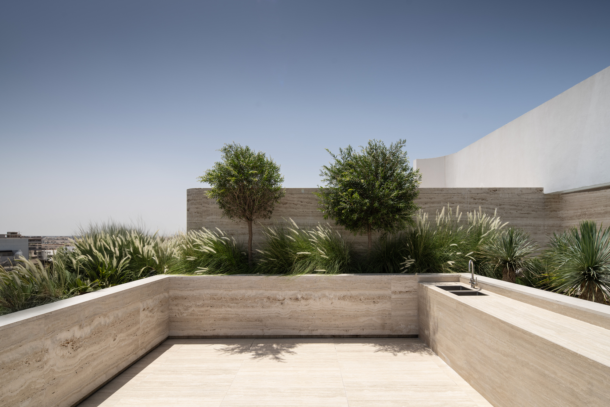 Rooftop terrace with board-formed concrete walls and planted beds with palms and olive trees under clear sky