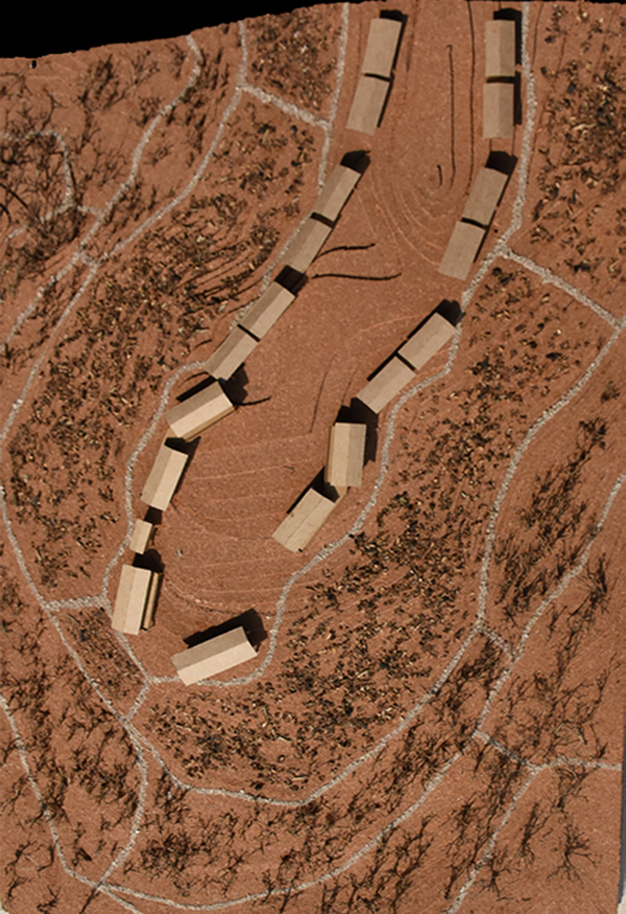 Site model showing clustered buildings arranged along contours to strengthen community connectivity.