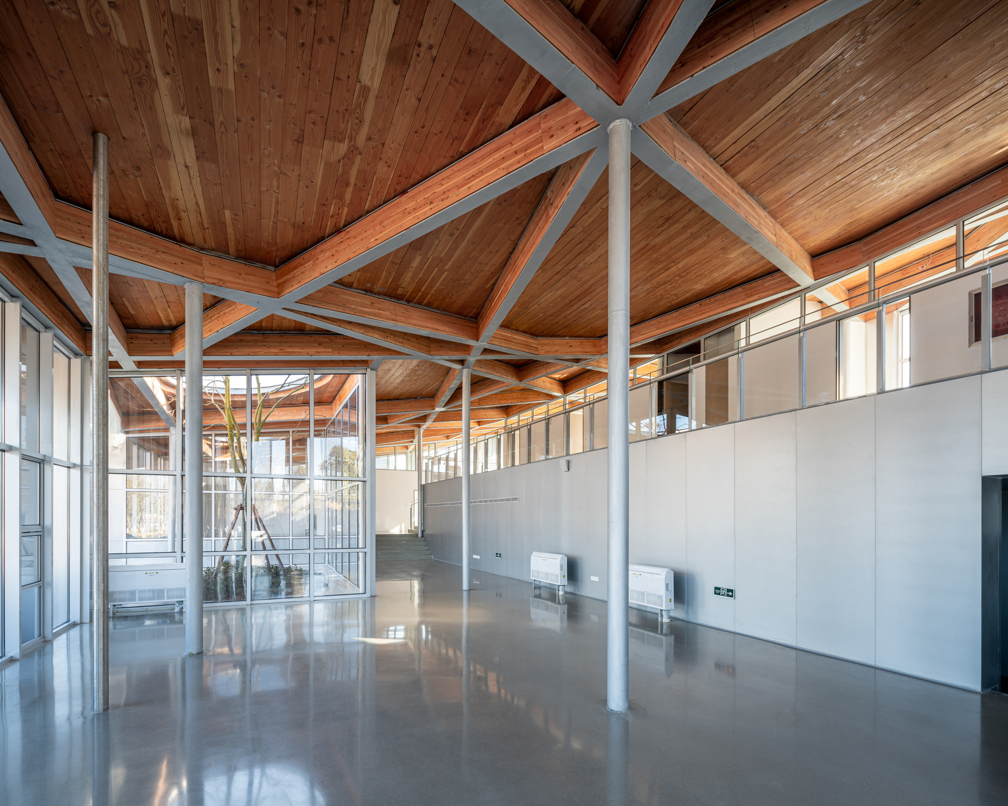 Interior with exposed timber ceiling and white steel cross bracing above polished concrete floor