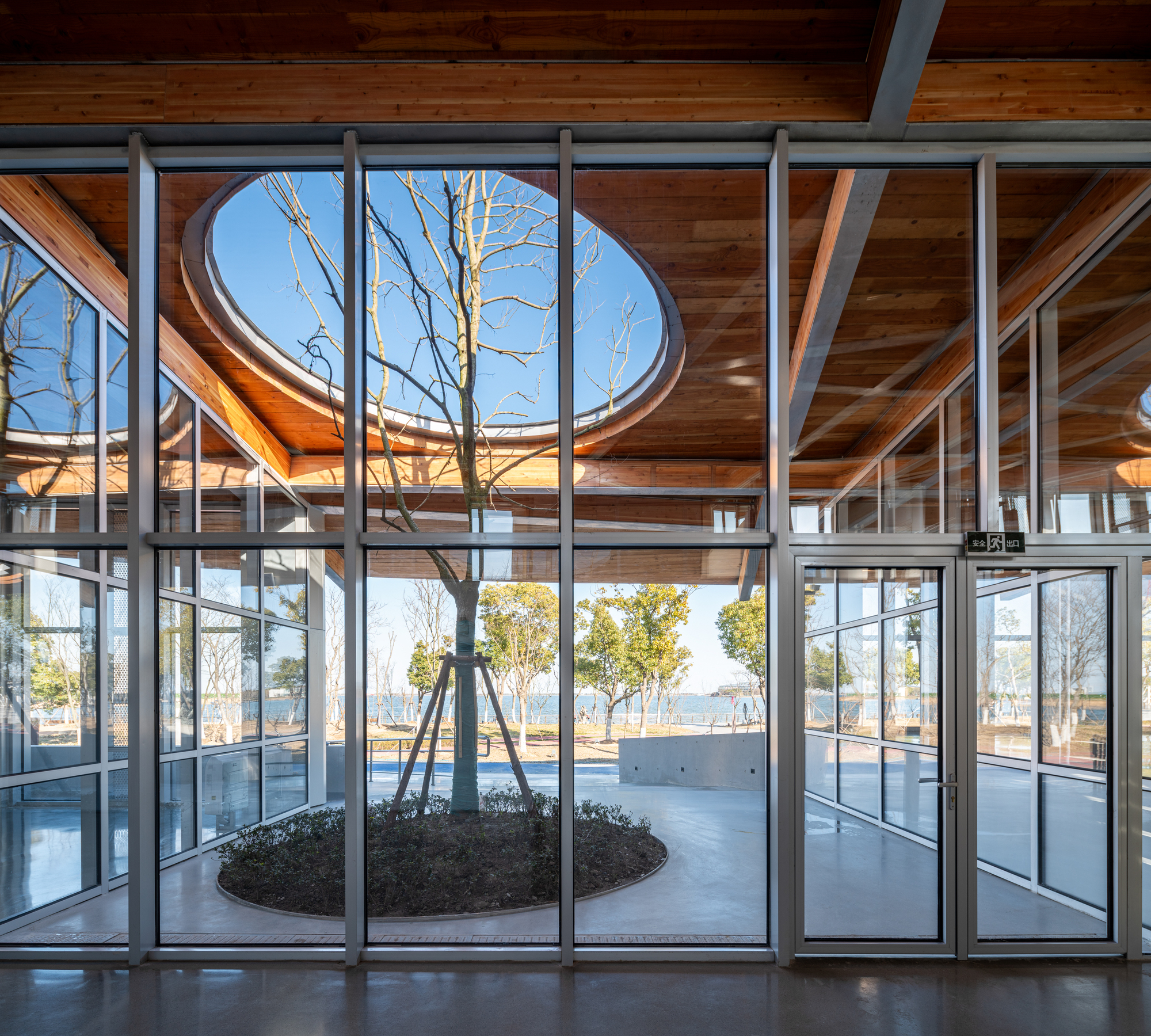 Interior view through glazed curtain wall toward circular planted courtyard with bare trees under timber ceiling