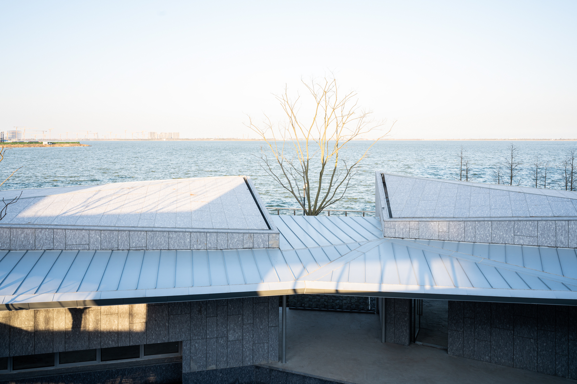 Corrugated metal roofscape with angled planes meeting above concrete walls beside a bare tree and water