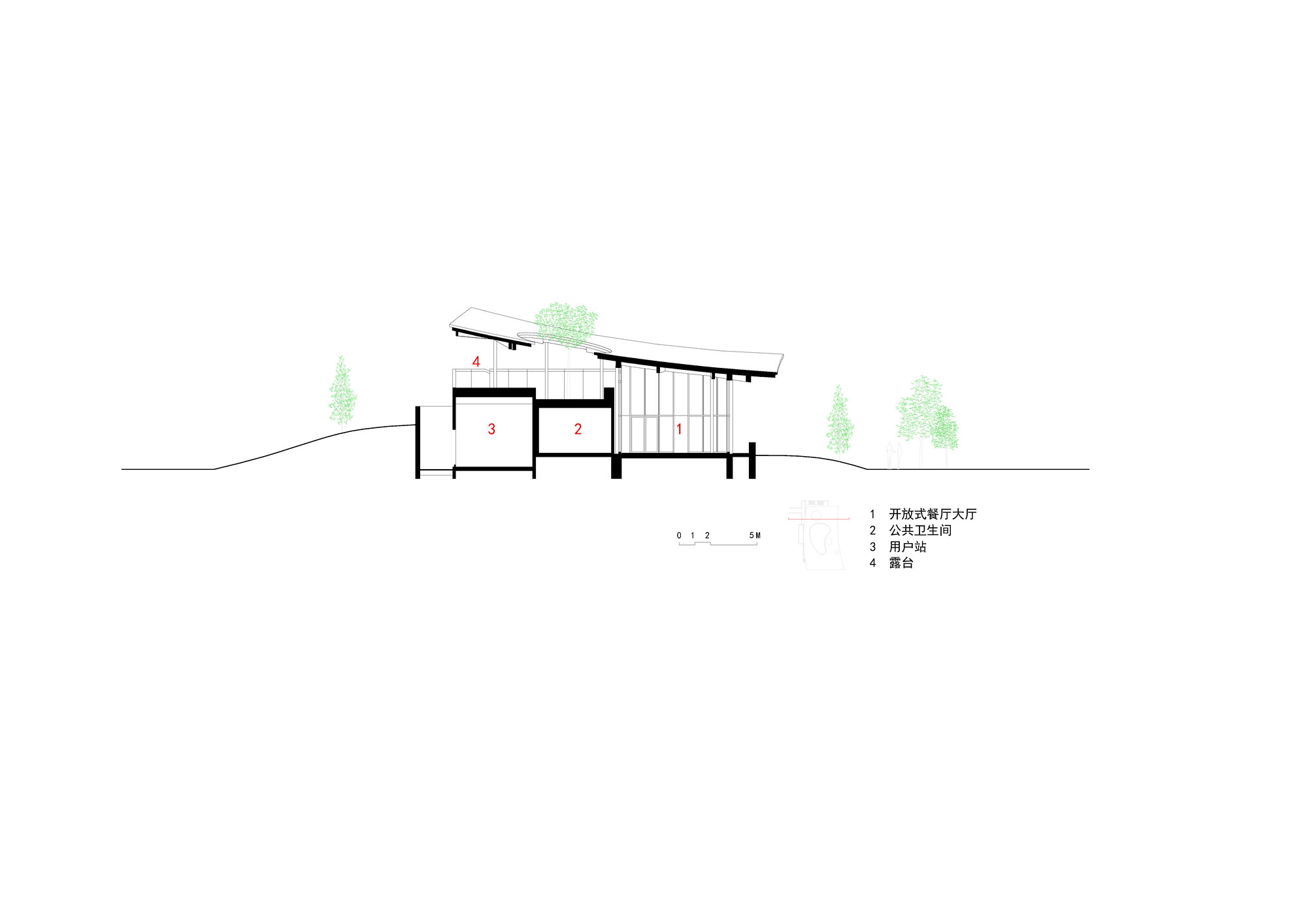 Section drawing revealing the relationship between interior volumes and the ascending roofline with trees