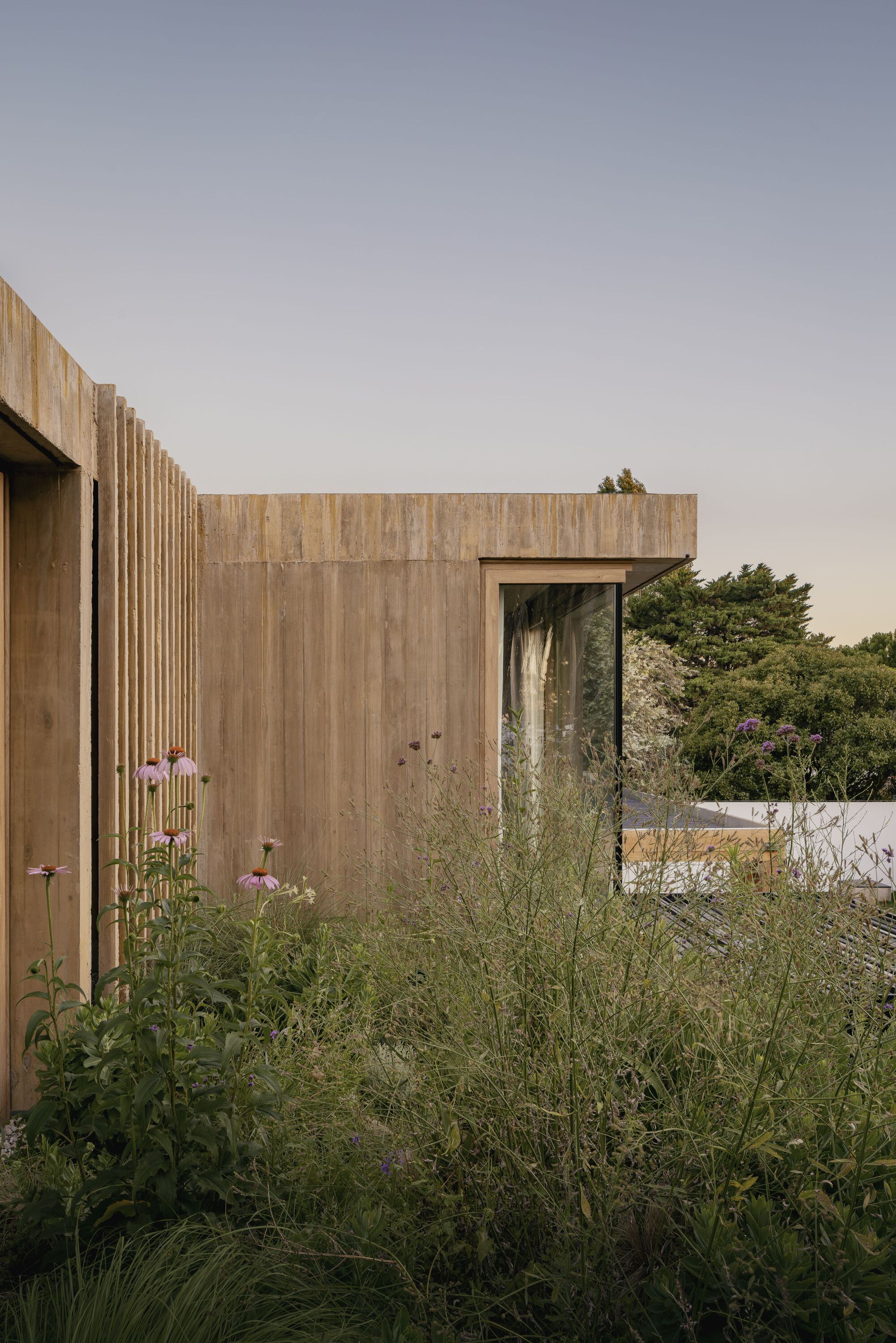 Timber-clad volumes seen through wildflower meadow planting at dusk
