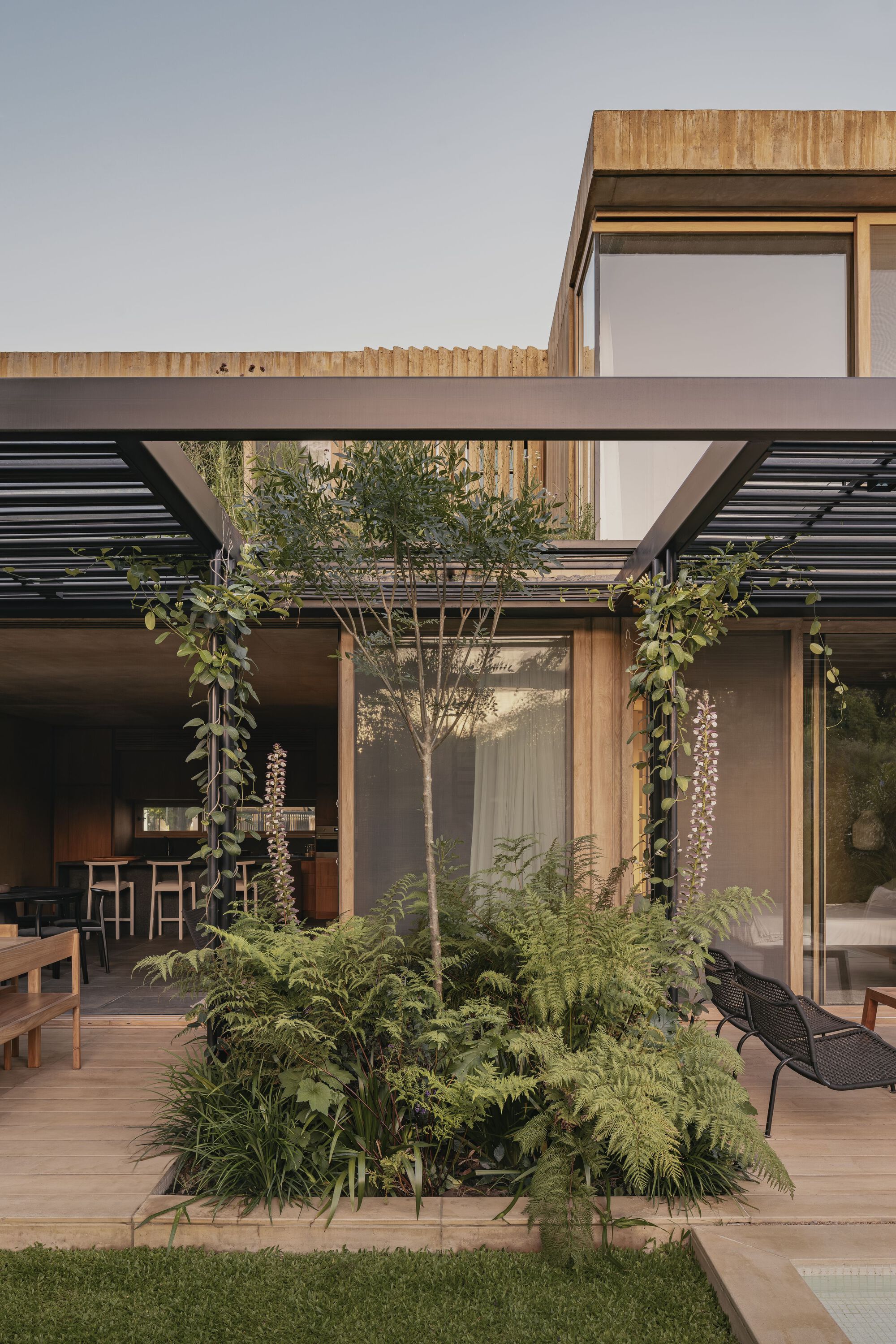 Courtyard with planted bed and tree framed by timber-clad upper volume and horizontal louvers at dusk