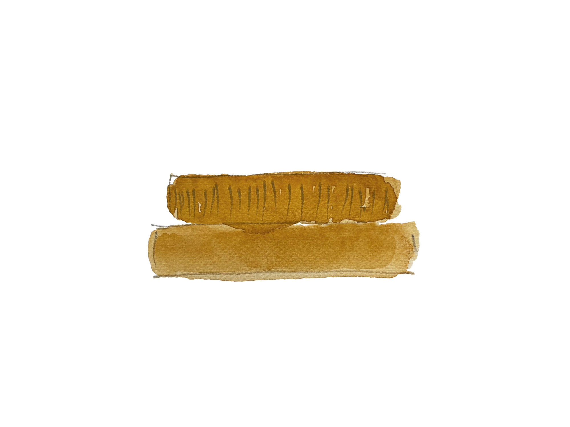 Watercolor study showing two horizontal material samples in ochre tones