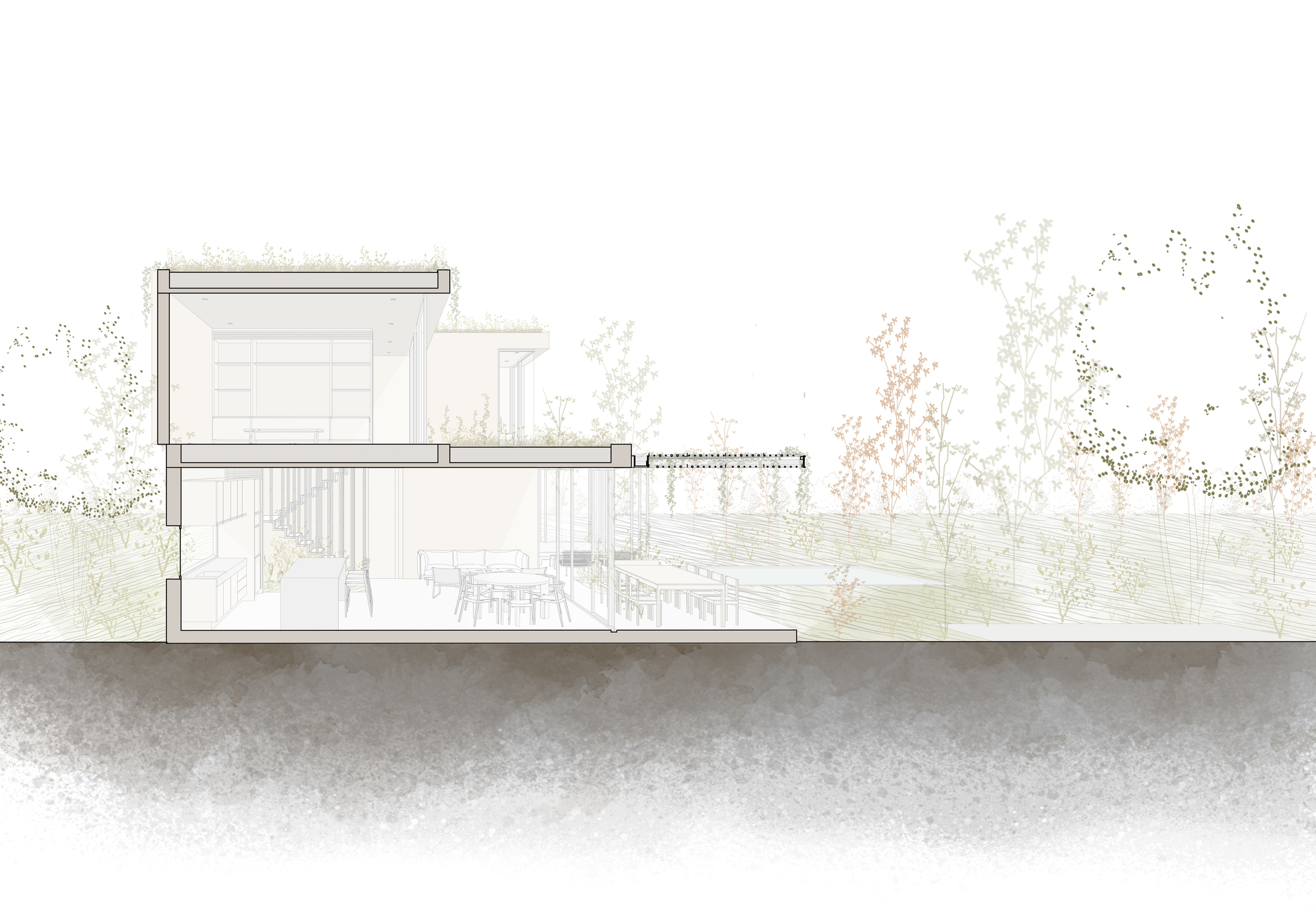 Section drawing showing a timber-clad volume with exterior deck extending into the landscape
