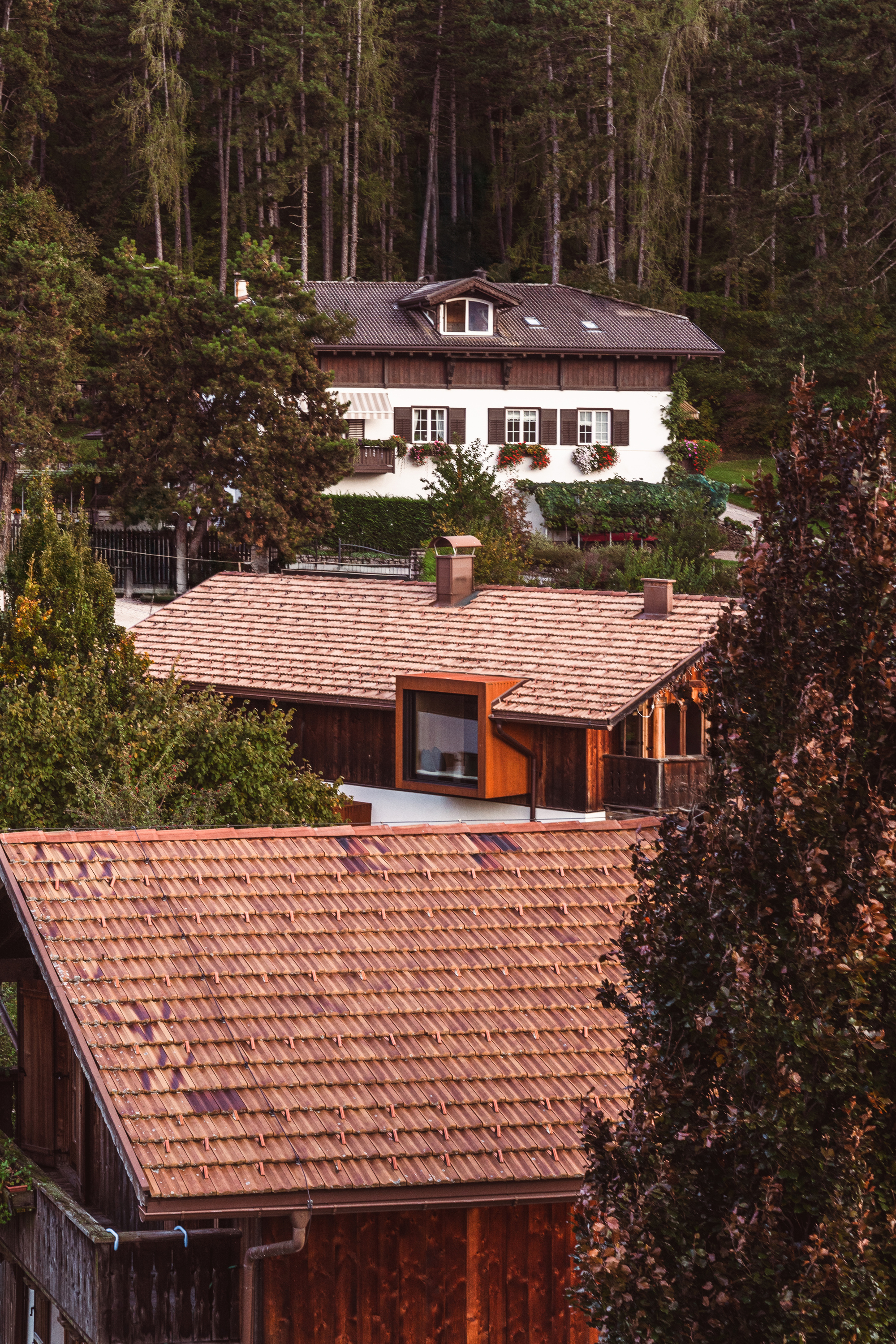 Cluster of clay tile roofs and timber facades nestled among deciduous and coniferous trees