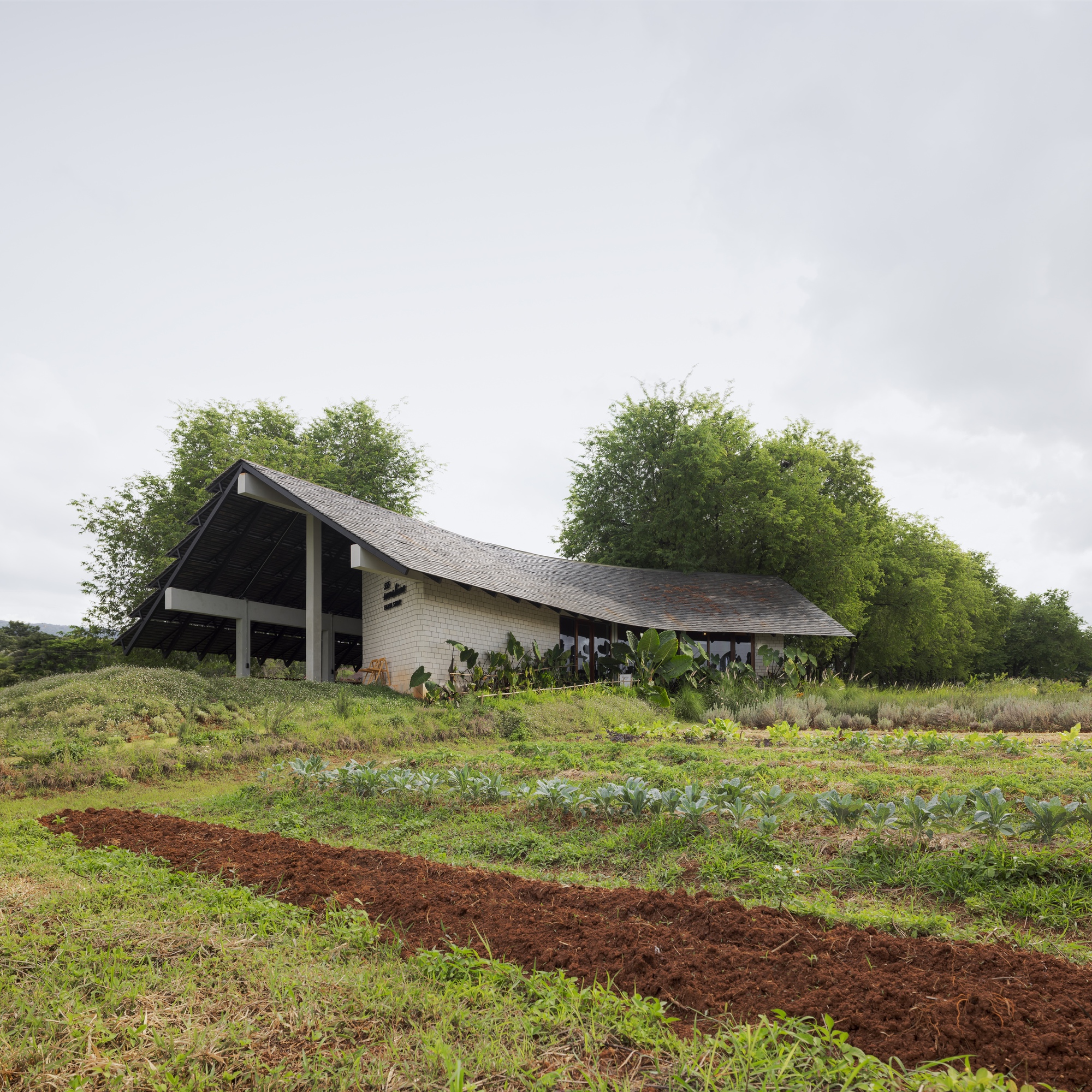 Low-slung pavilion with sweeping tiled roof set within rows of planted crops on red earth