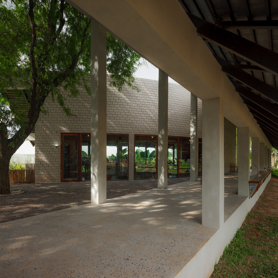 Covered veranda with white columns and timber windows framed by dappled sunlight through overhead branches