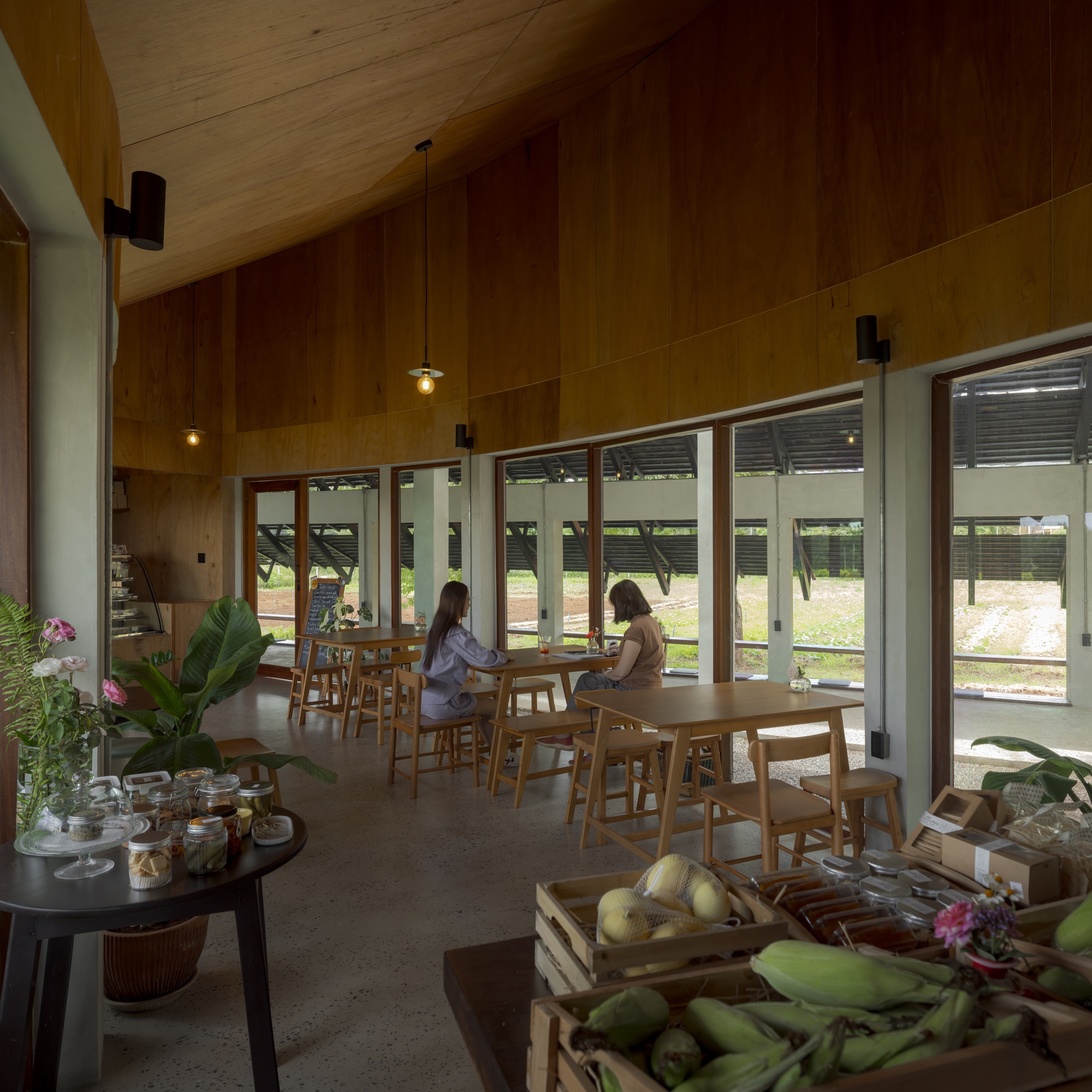 Interior cafe space with timber-lined ceiling and two people seated at wooden tables near large windows