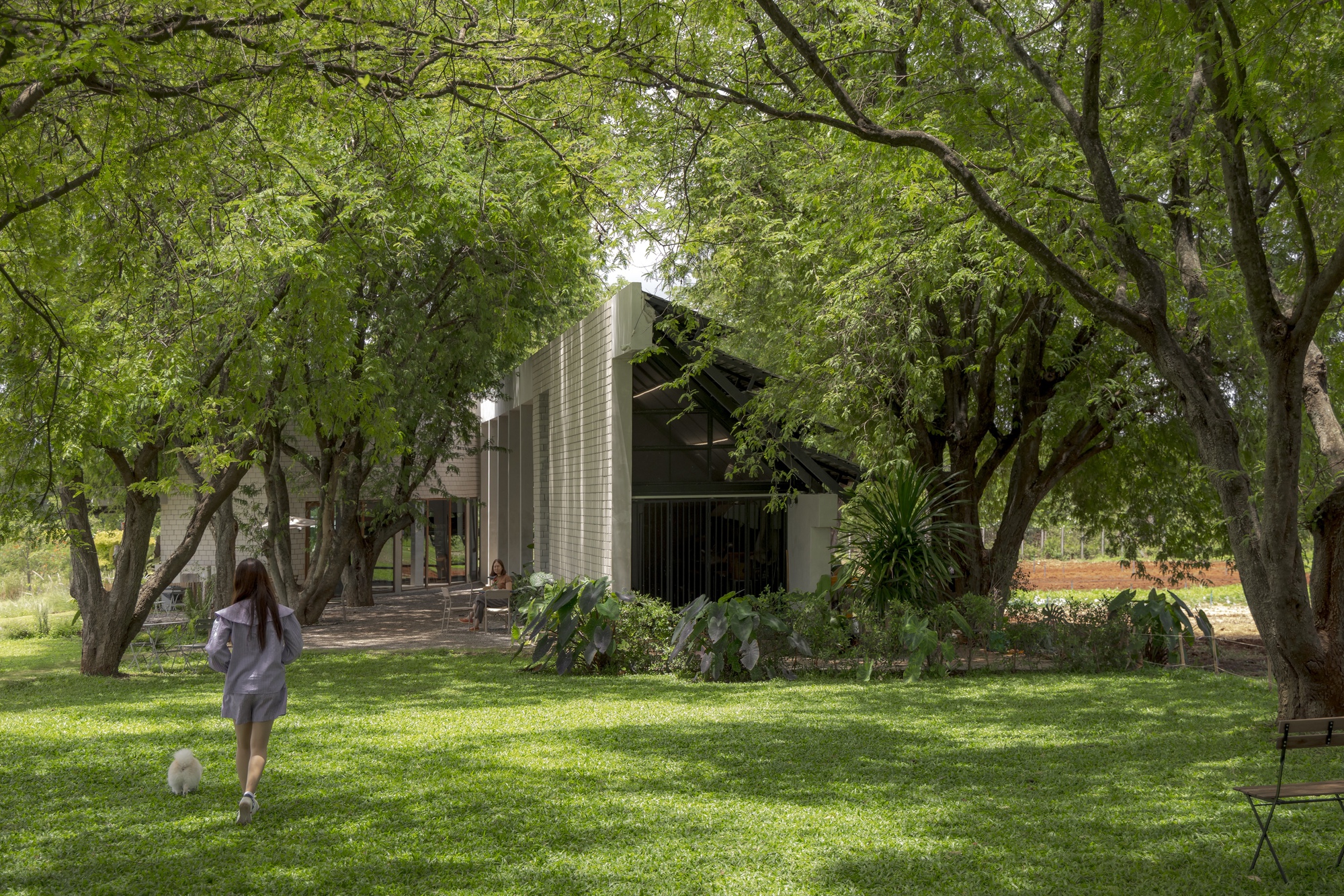 Corrugated metal facade with pitched roof behind a person walking across sunlit grass under trees