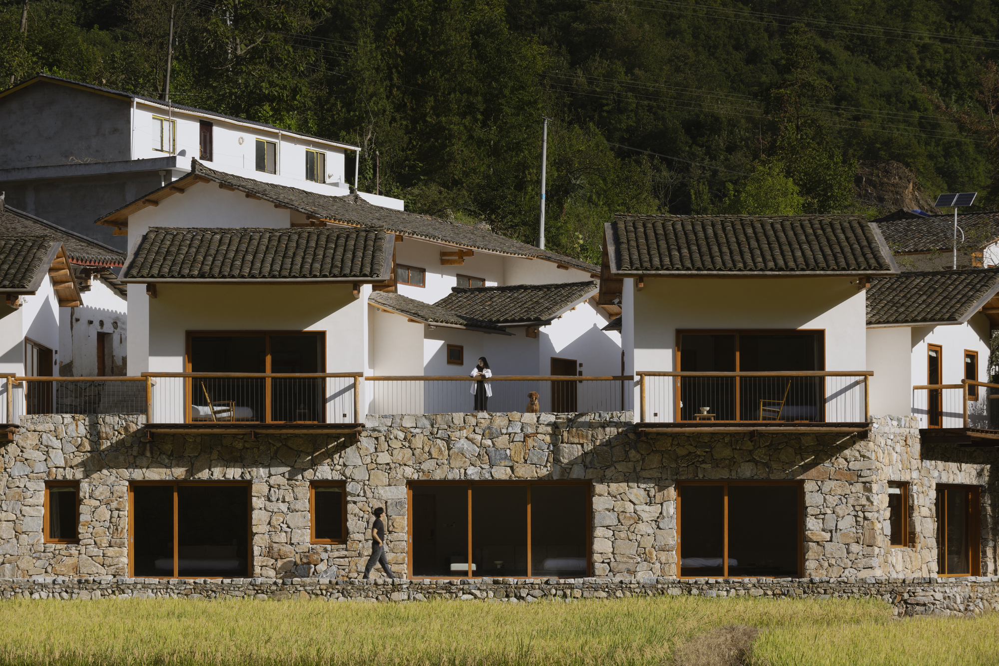 Two-story facade with stone base and white upper walls fronting a rice field in bright sunlight