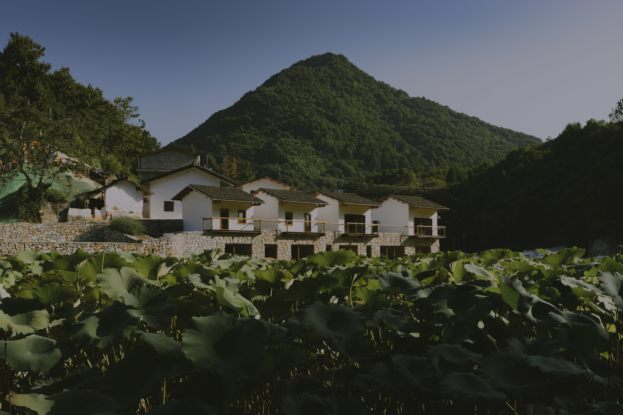 Residential buildings with white upper walls and stone bases viewed across a lotus pond with mountain backdrop