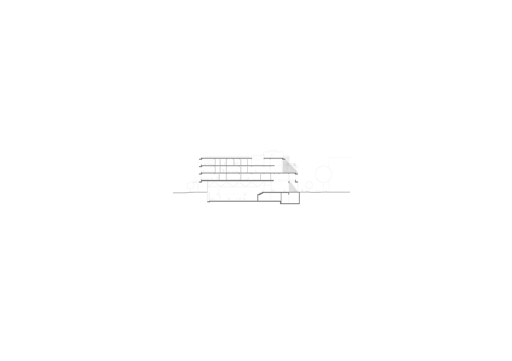 Section drawing revealing the stacked floor levels and cantilevered upper volume
