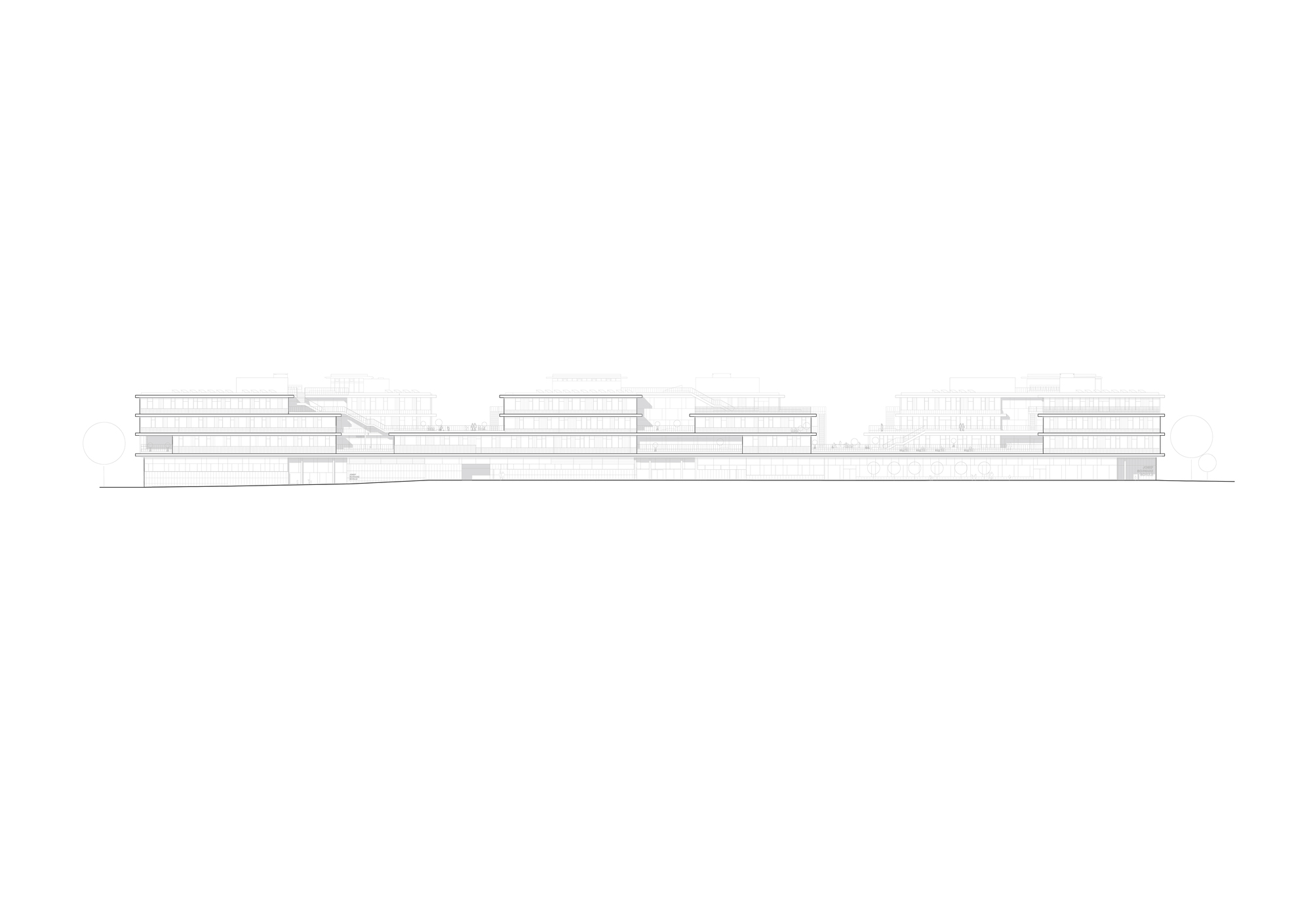 Elevation drawing showing a series of staggered rectangular volumes along a horizontal datum