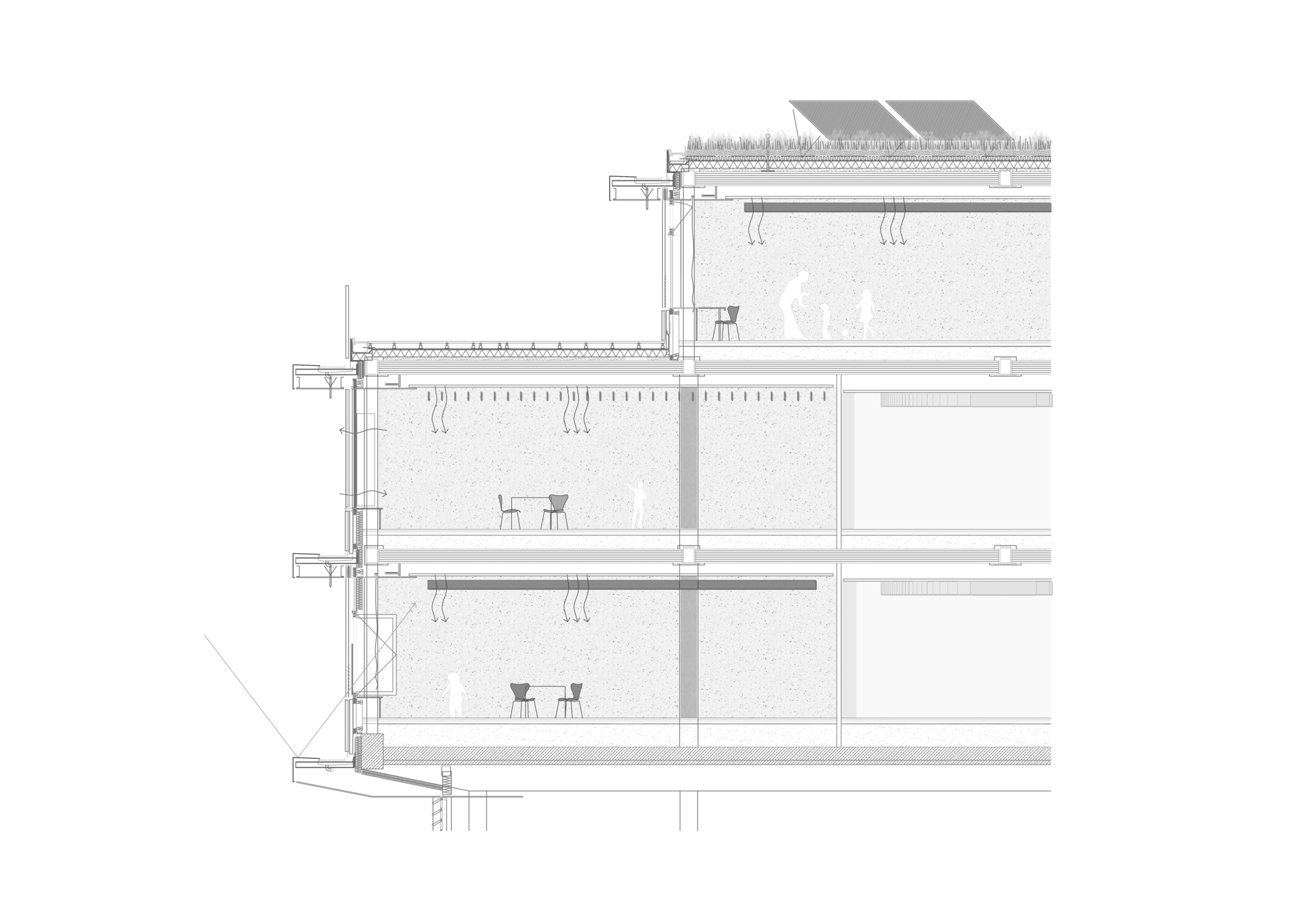 Section drawing revealing four levels with interior spaces, green roof and structural details