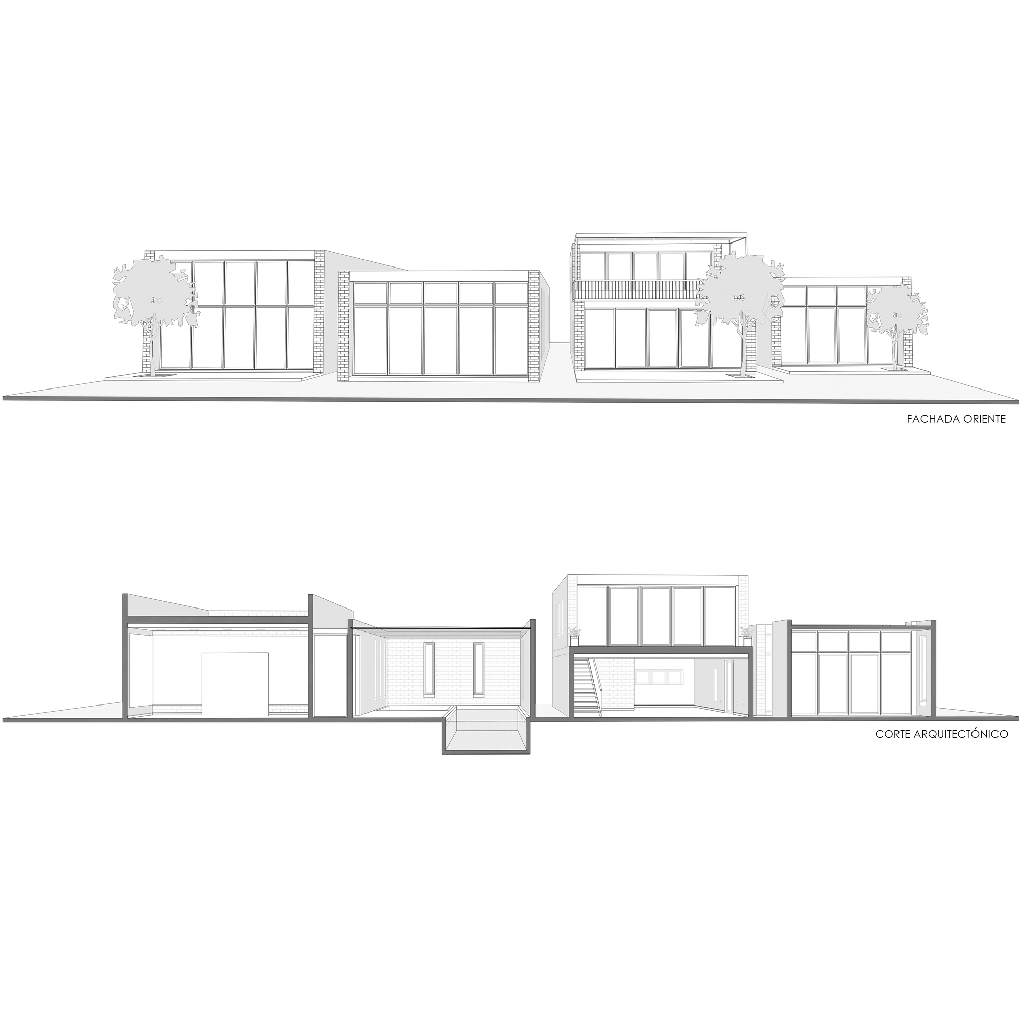Elevation drawing above a section drawing of low brick-edged volumes with tall glazing, a balcony railing, an interior stair and trees