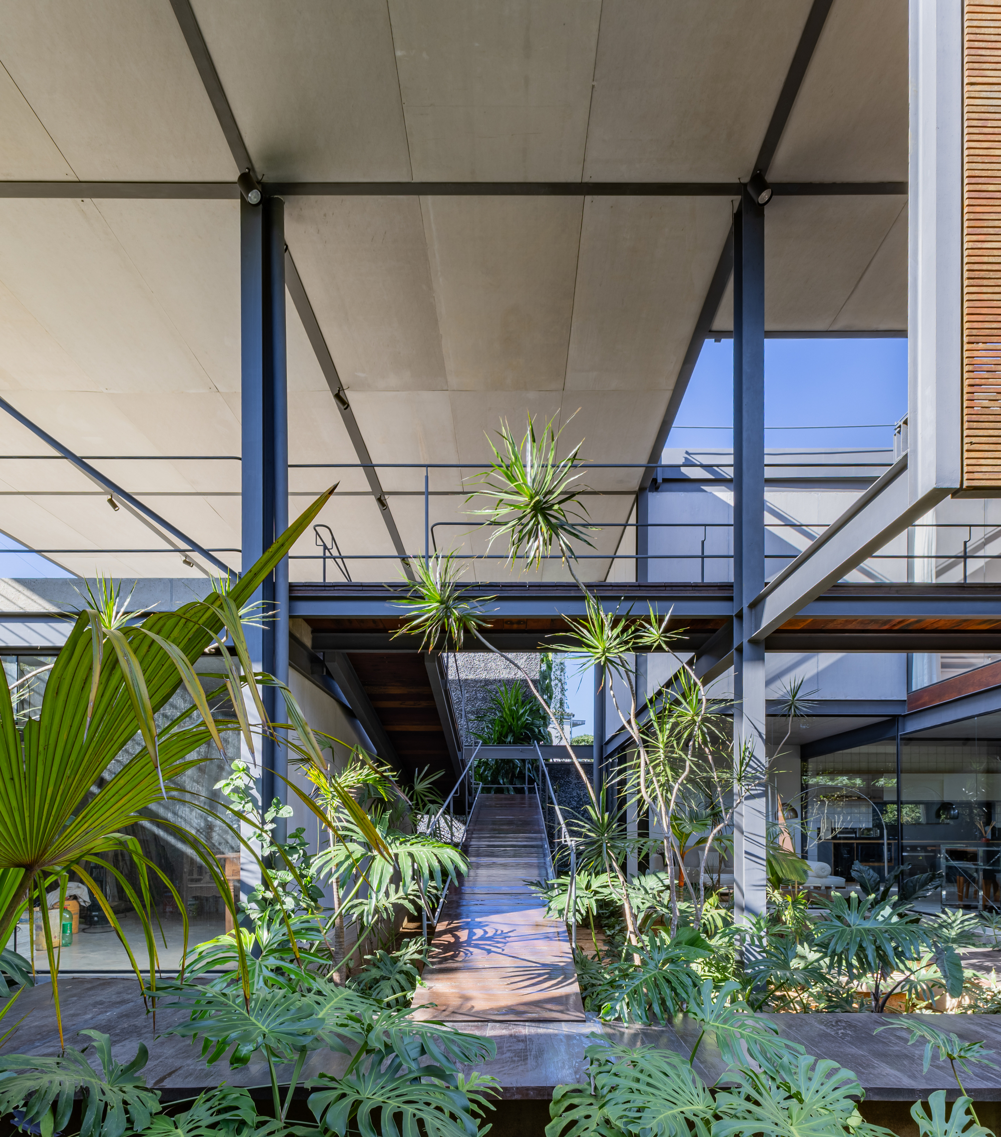 Courtyard planted with monstera and spiky palms around a timber footbridge, beneath a pale panel ceiling held up by slim steel columns