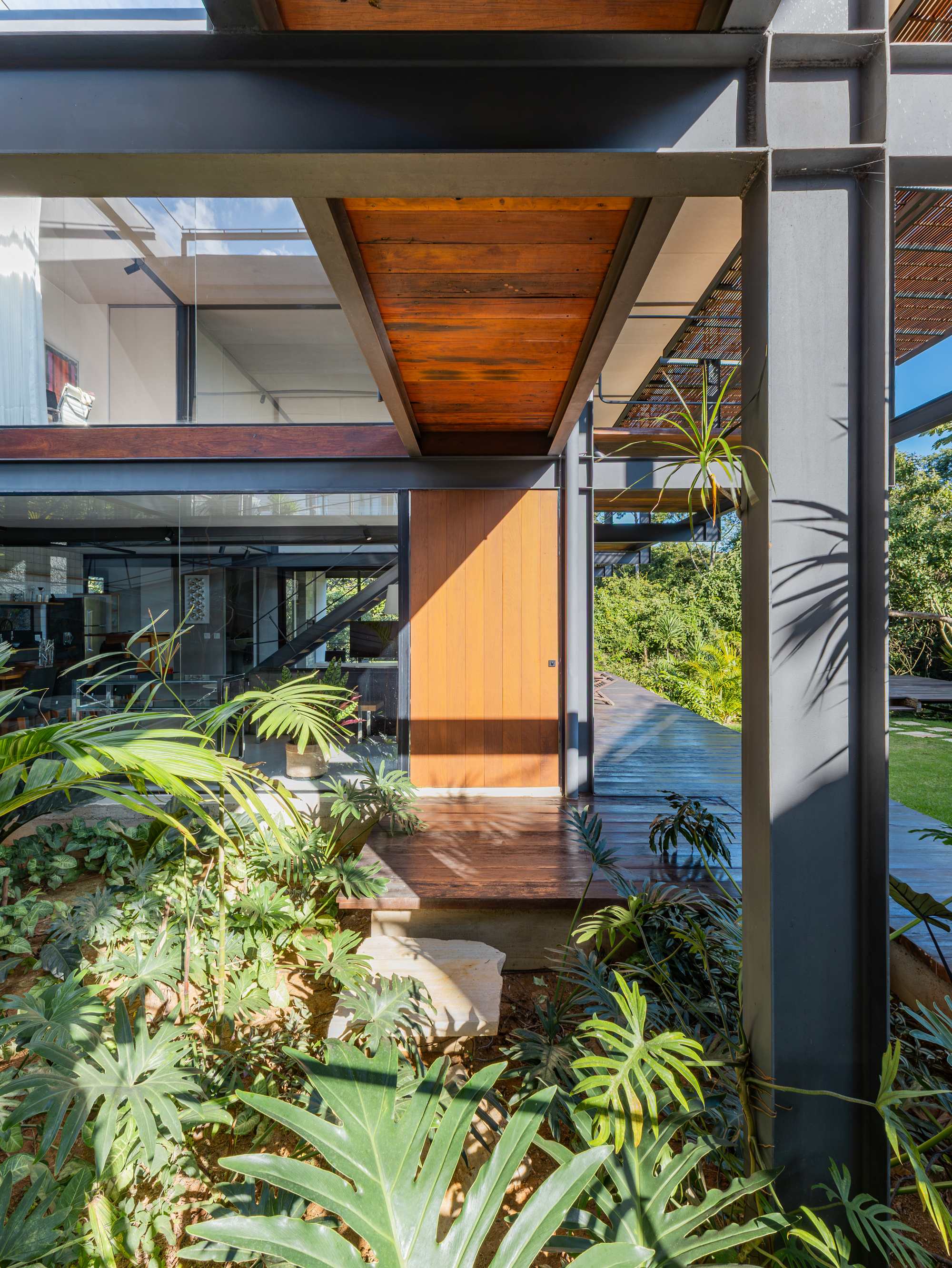Close view of a steel I-section column and timber-clad soffit beside a wood door, with broad-leaf plants in the foreground