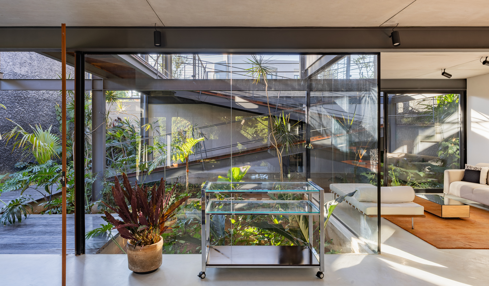 Glass trolley and potted plant before a glazed wall facing a planted courtyard, with sunlight falling across the living room floor